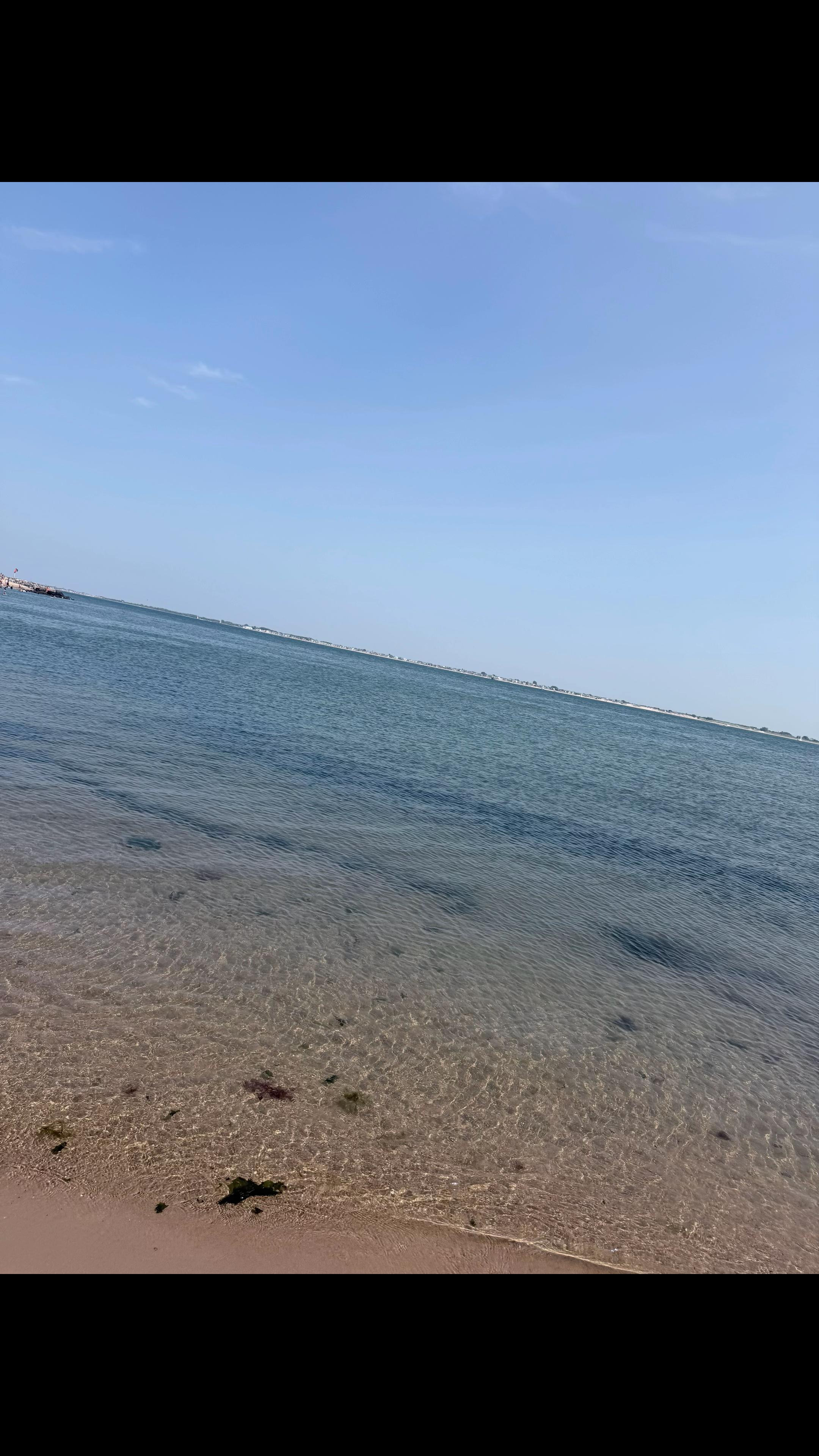 @Noha Orabey