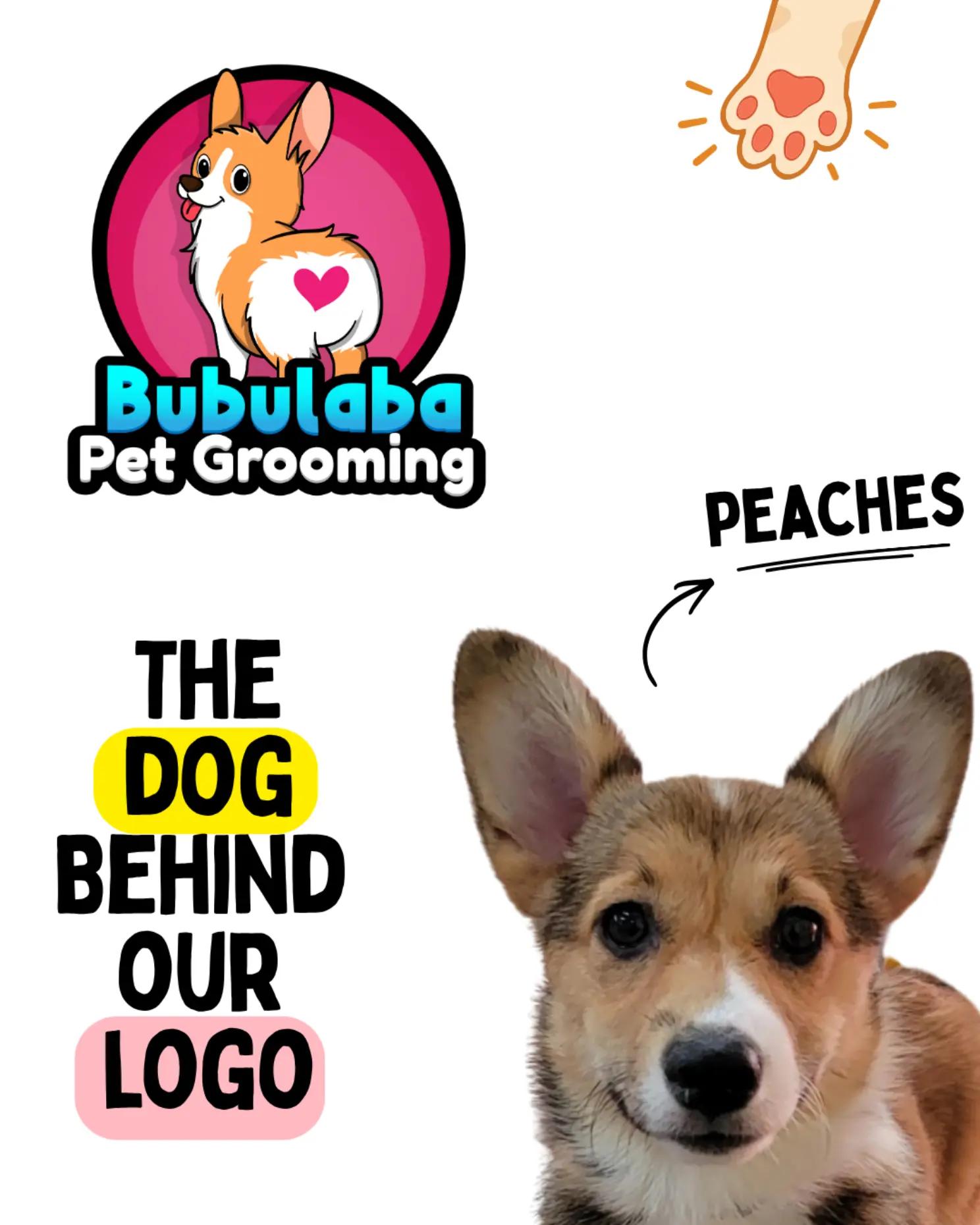 @bubulabapetgrooming