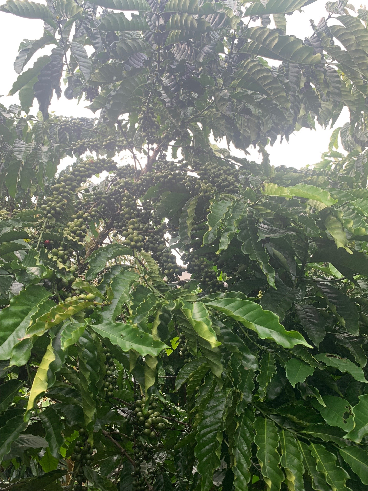 @Vũ Hải