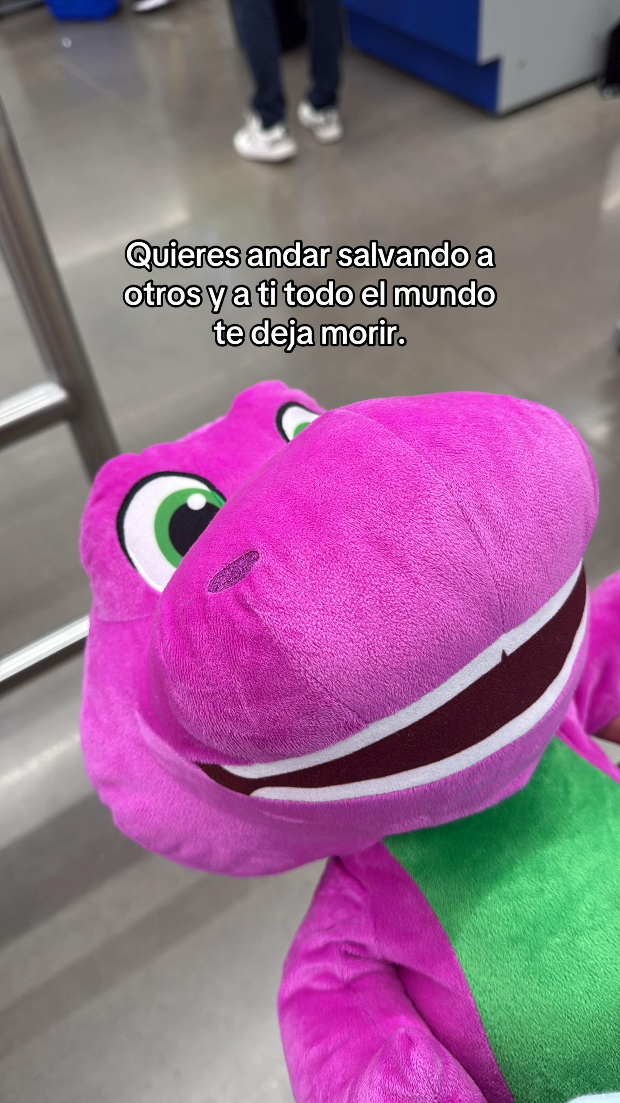 @Sulma Vargas🦋