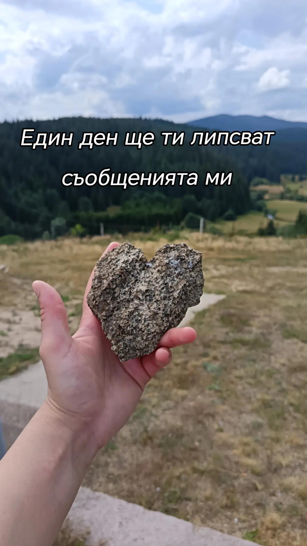 @أليكس