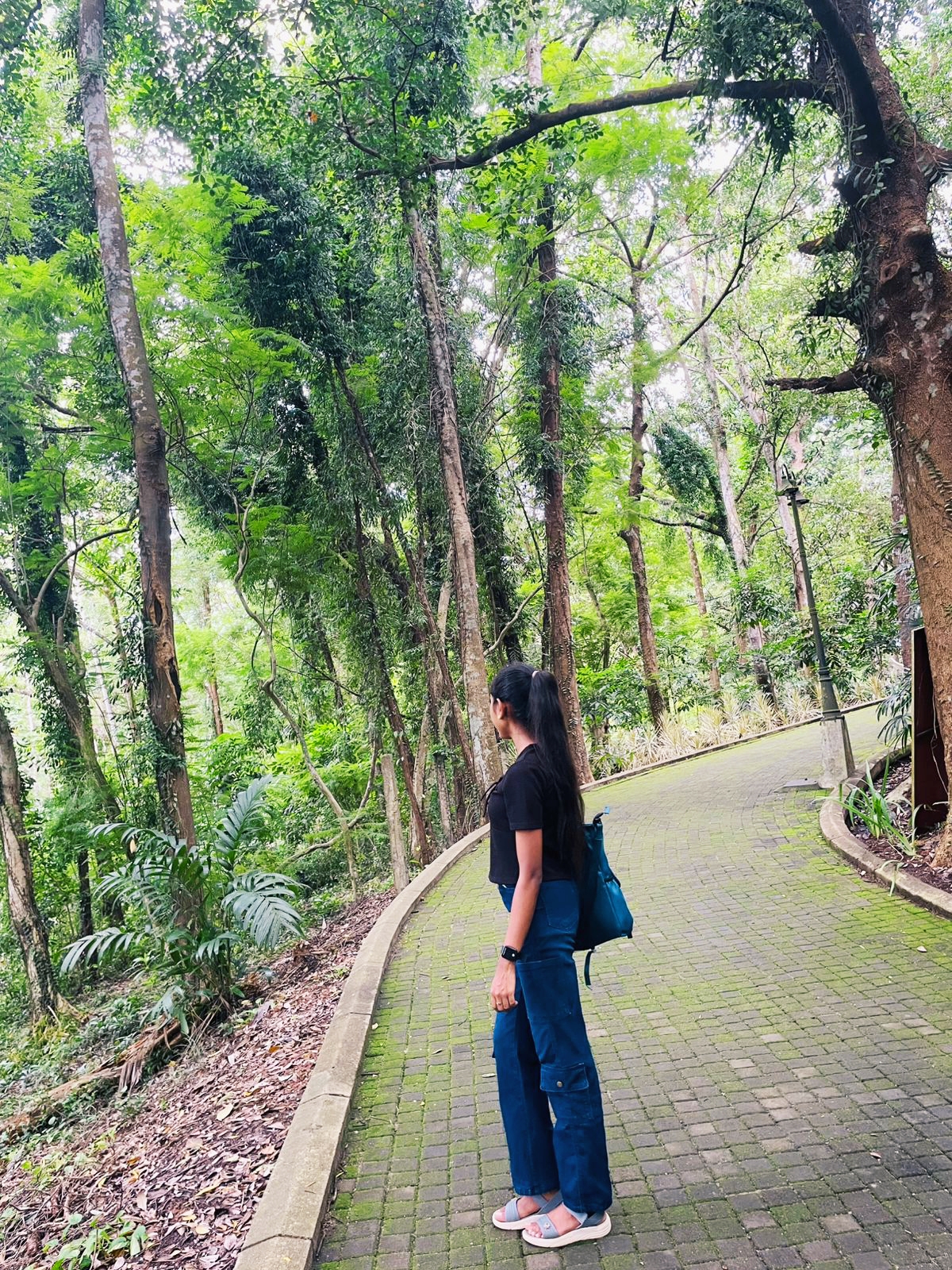 @Gayashani Basnayaka