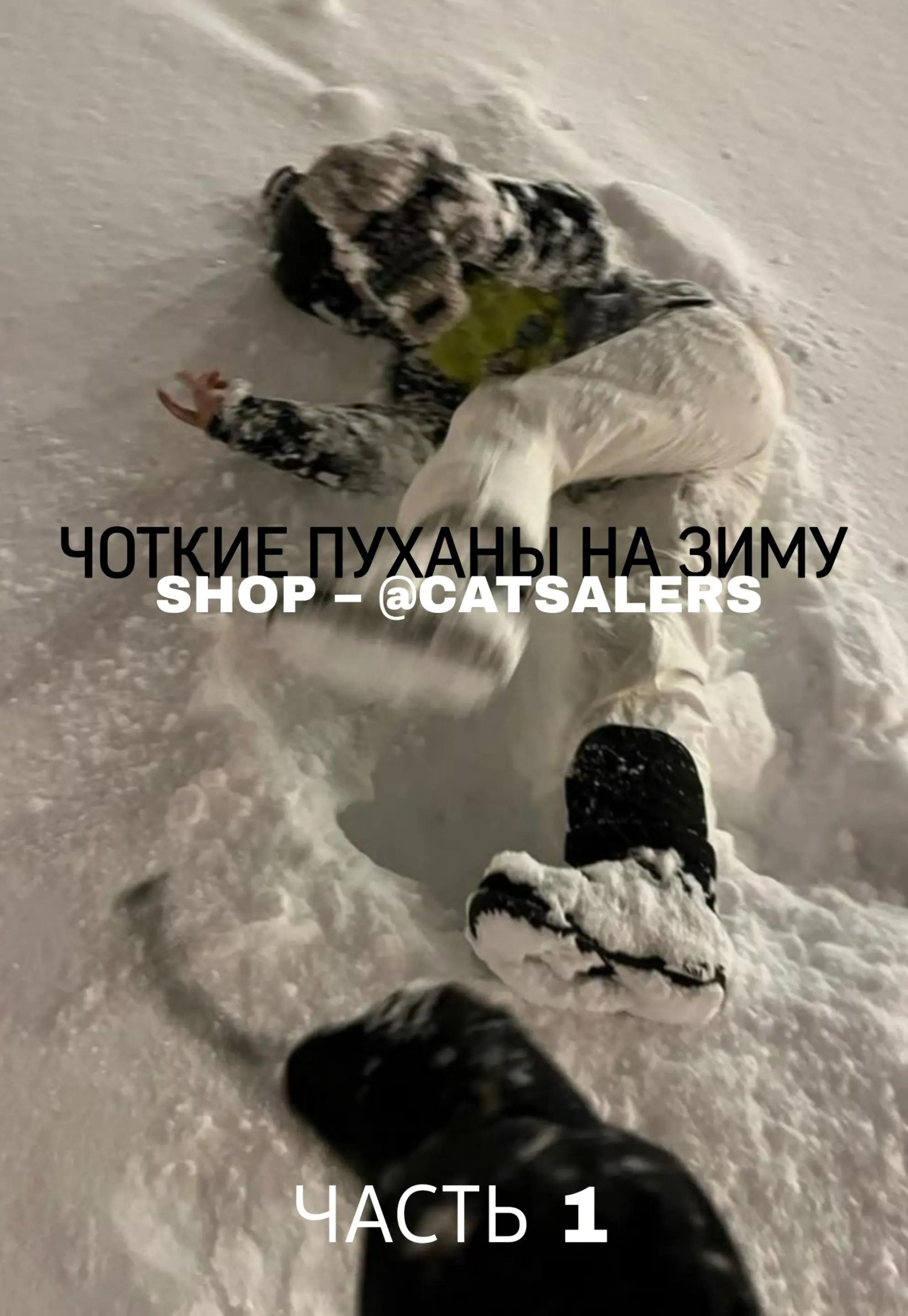 @ᑕᗩTᔕᗩᒪꏂ