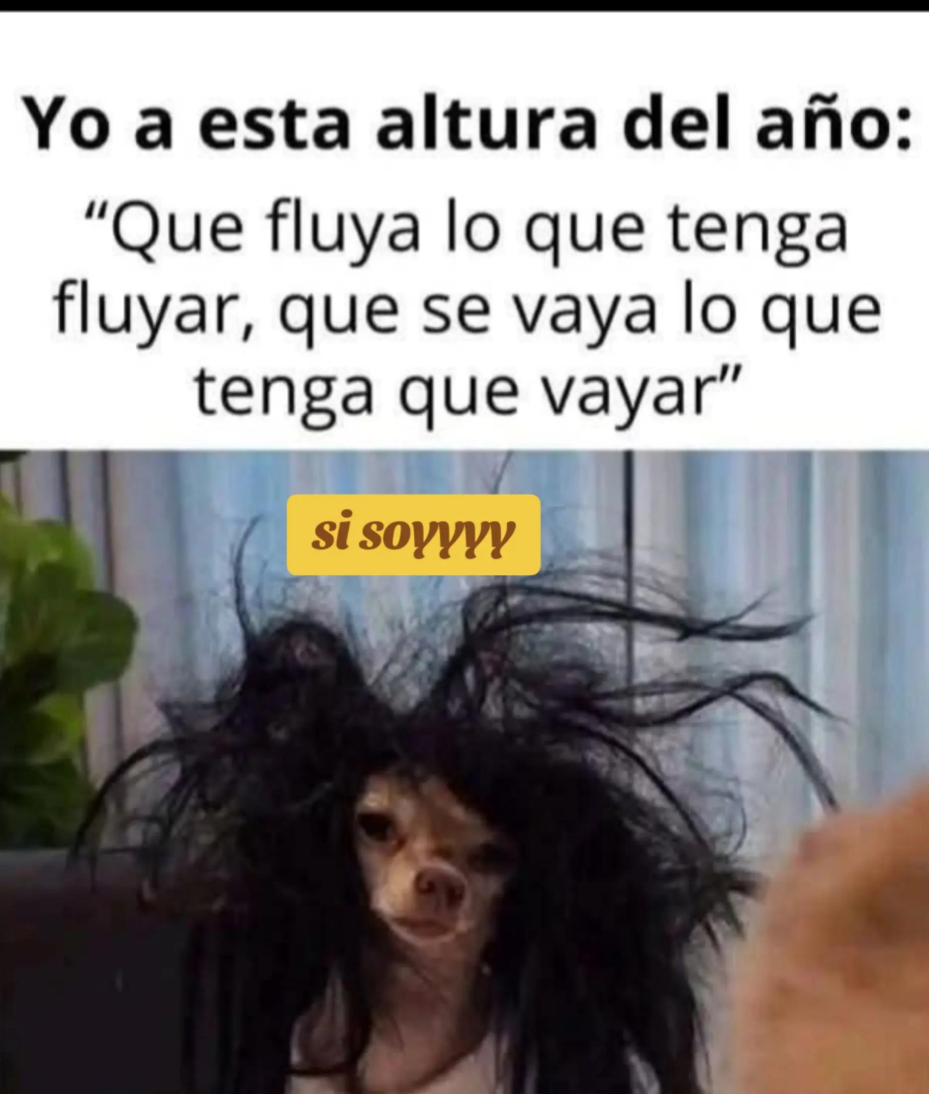 @alileiva ✨🌺🫀🧠🥂