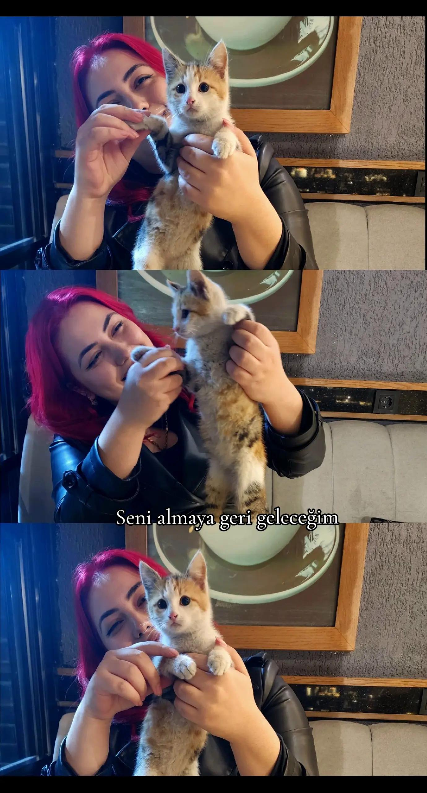 @Sena_ygc