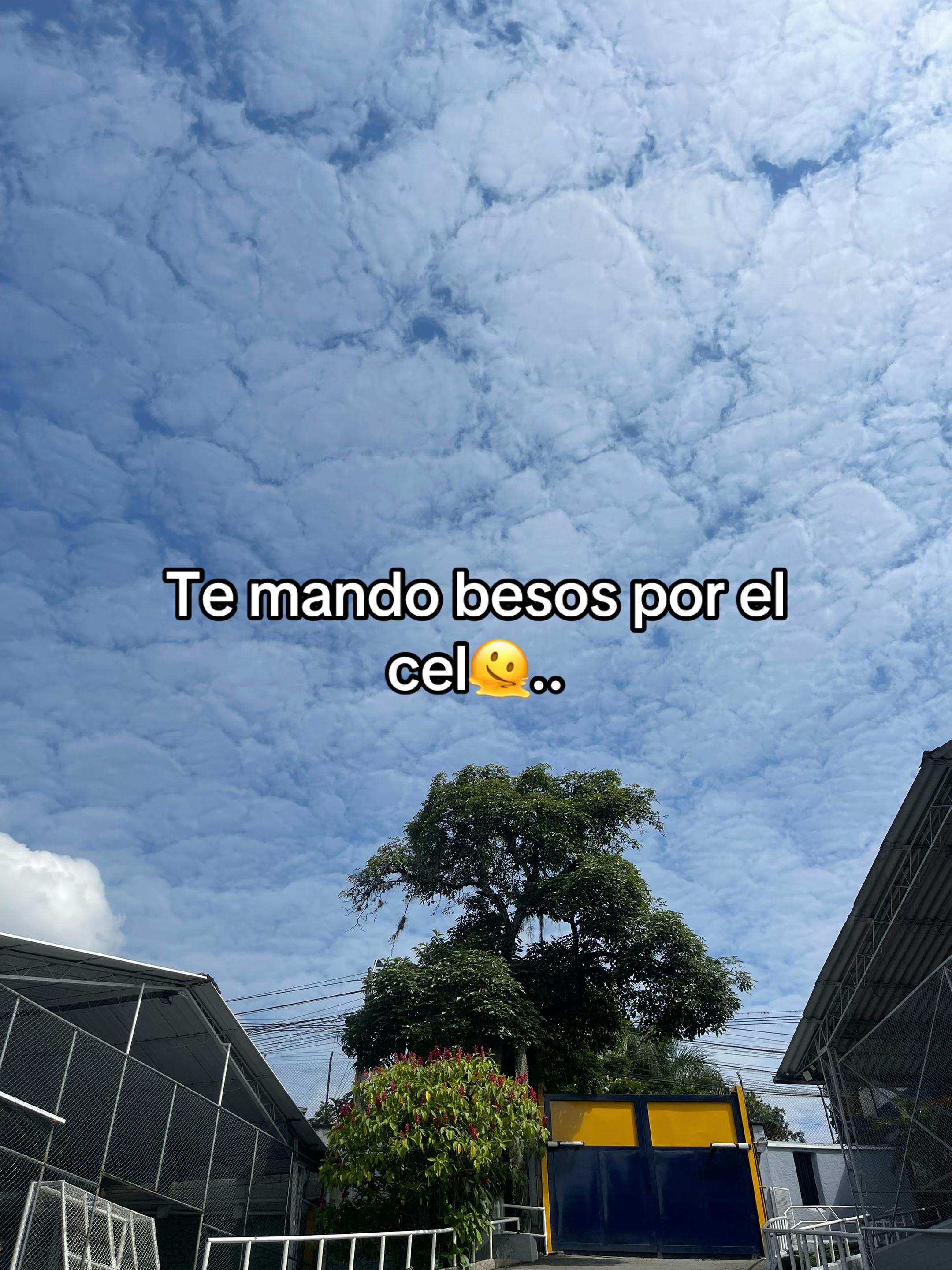 @salo_farfan