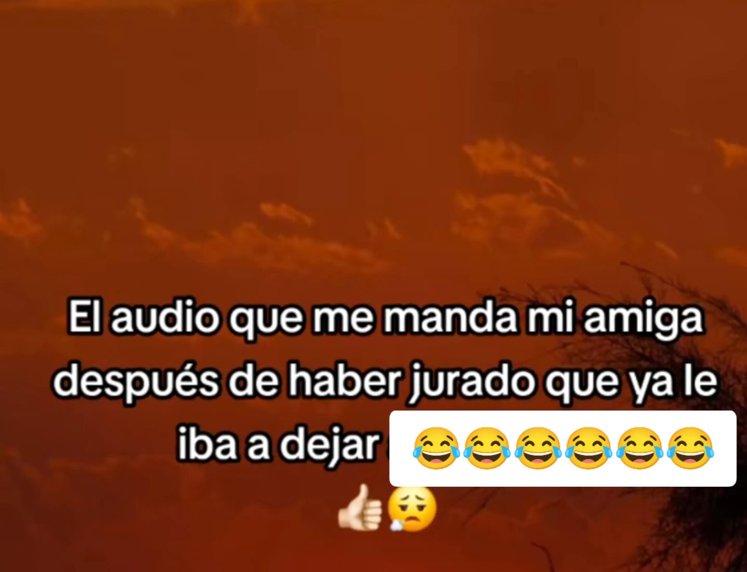 @alileiva ✨🌺🫀🧠🥂