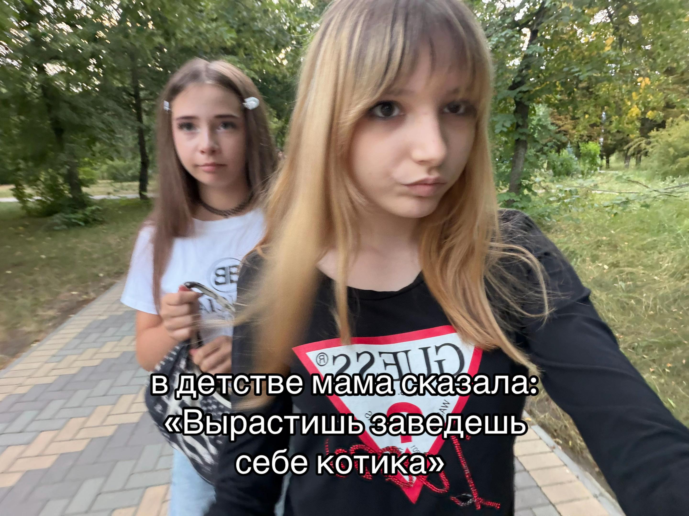 @wexsavis🪽
