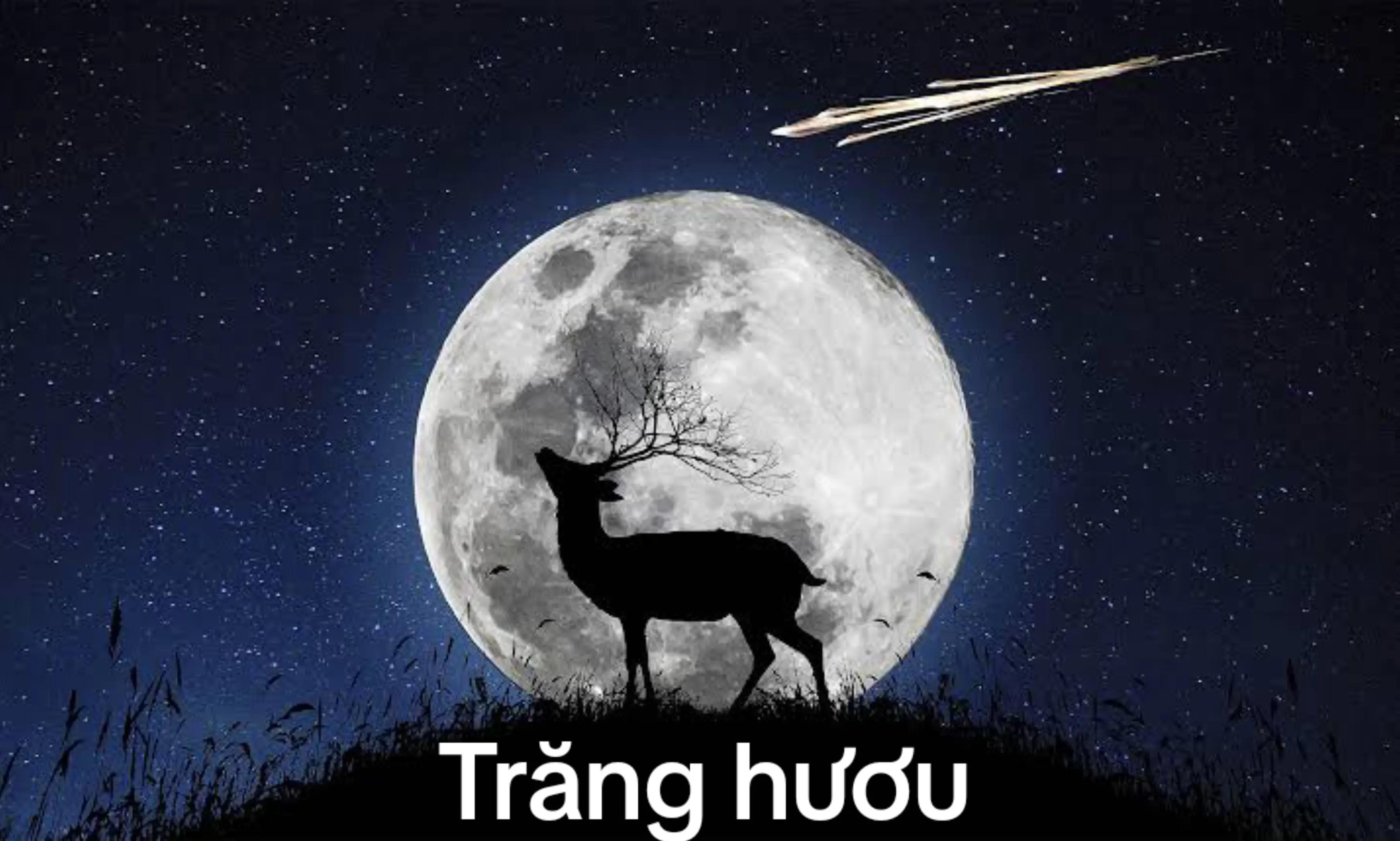 @Astronomy