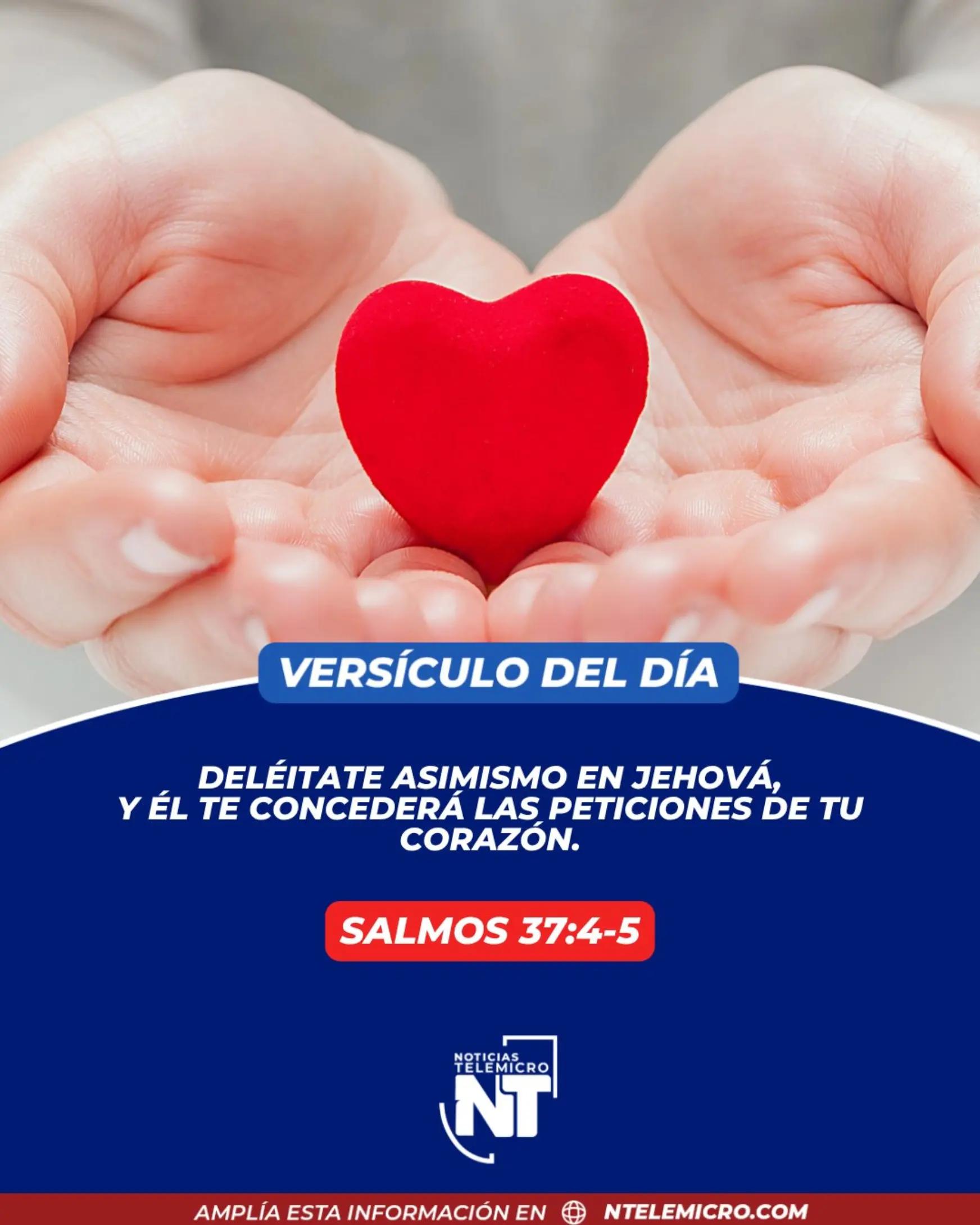 @Miguel Medina oficial