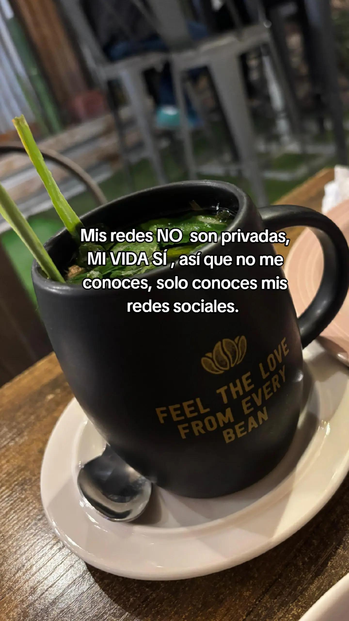 @Yanine 🇧🇴