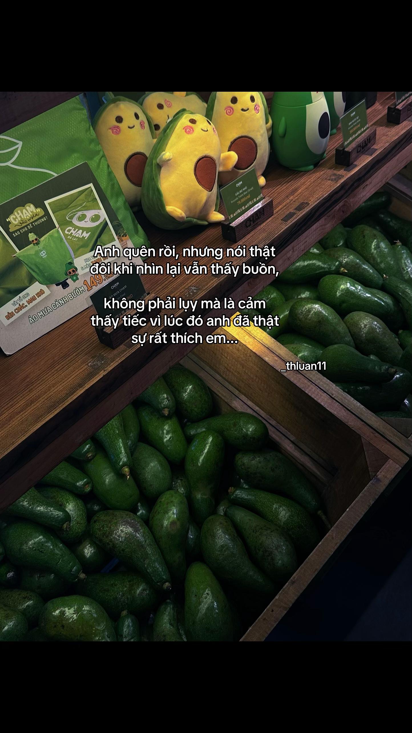 @𝑯𝒖̛̃𝒖 𝑳𝒖𝒂̂𝒏