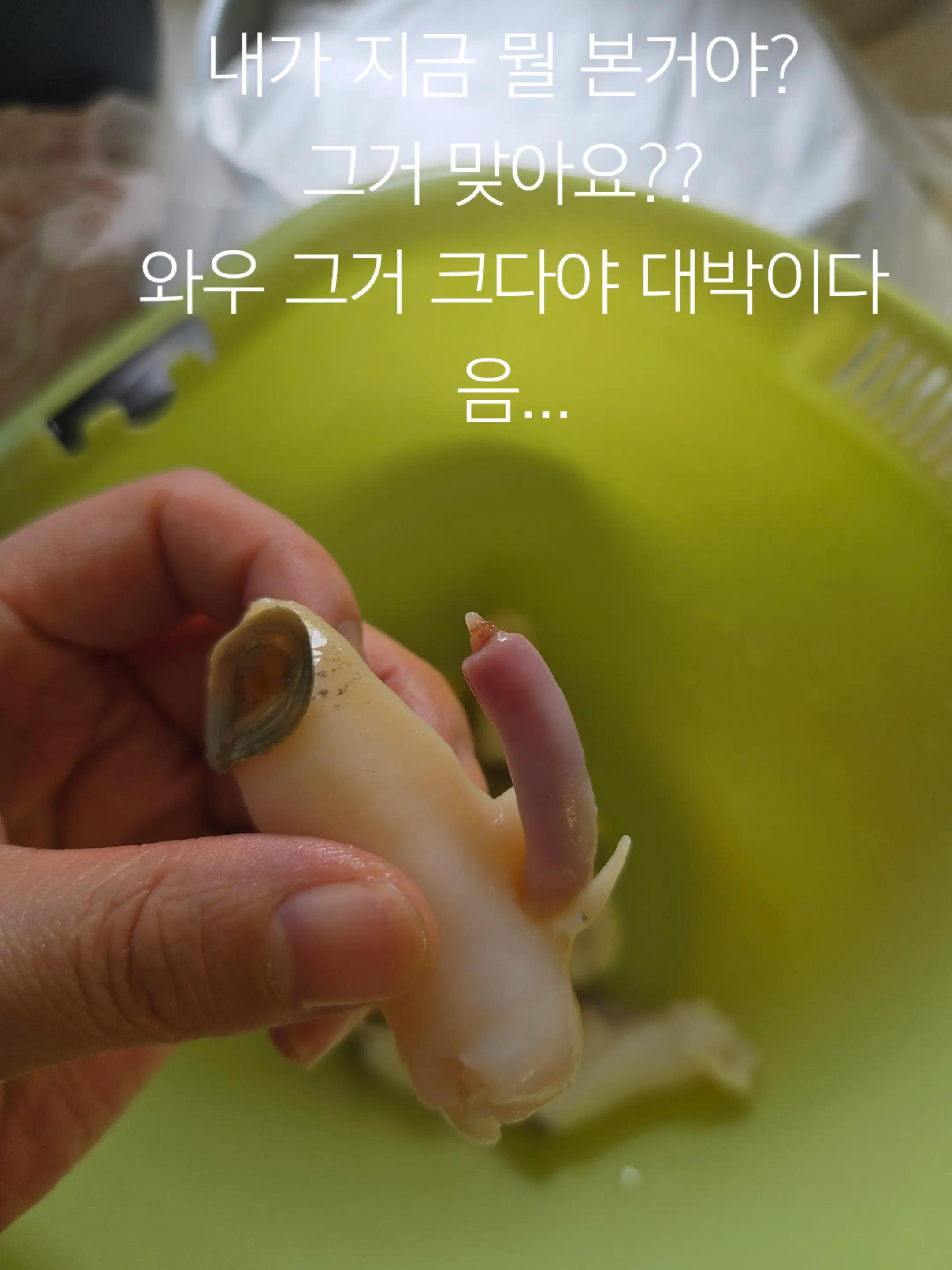@๐ธ๐ชก์ด์๐ชก๐ธ