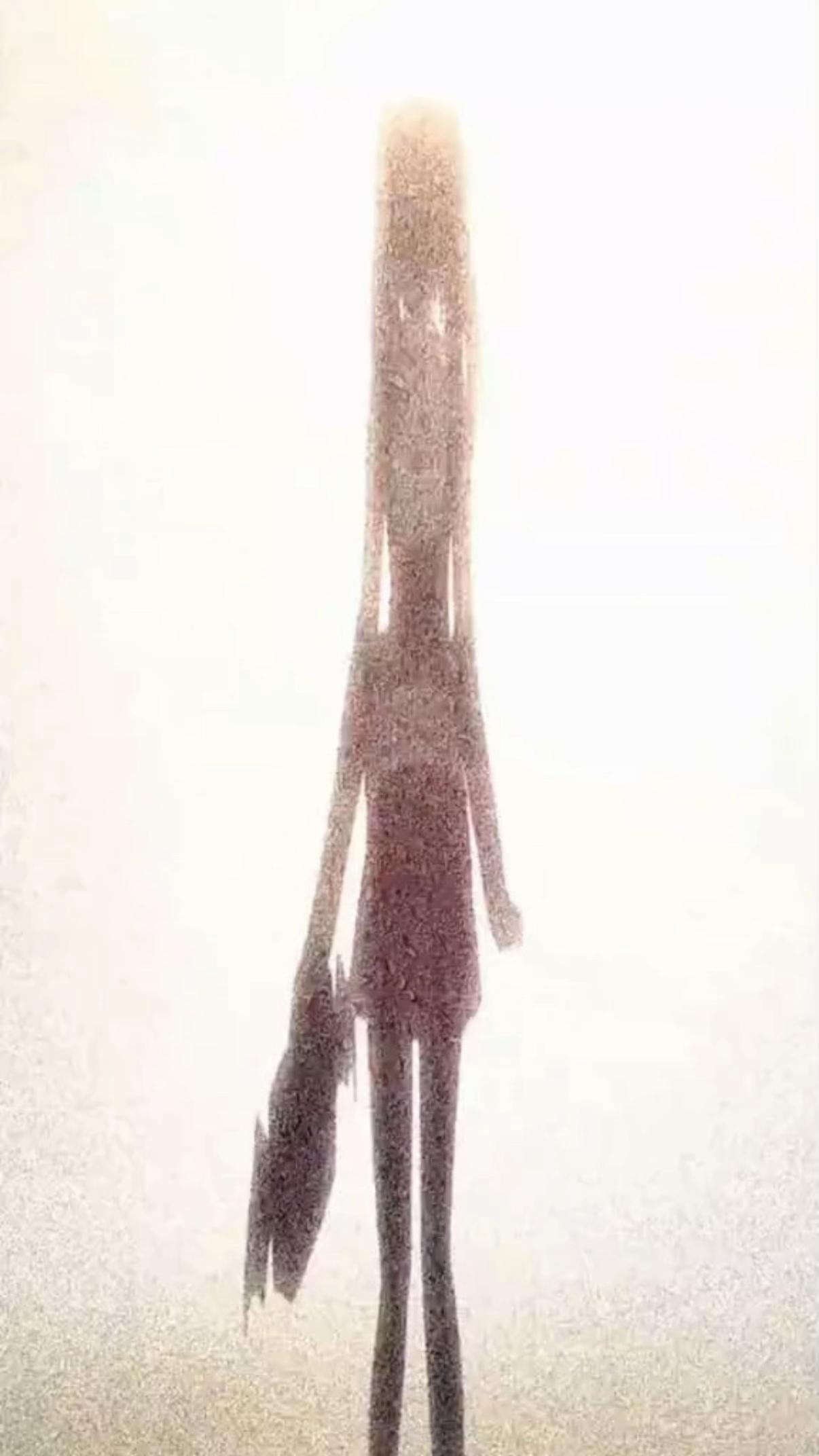 @викис