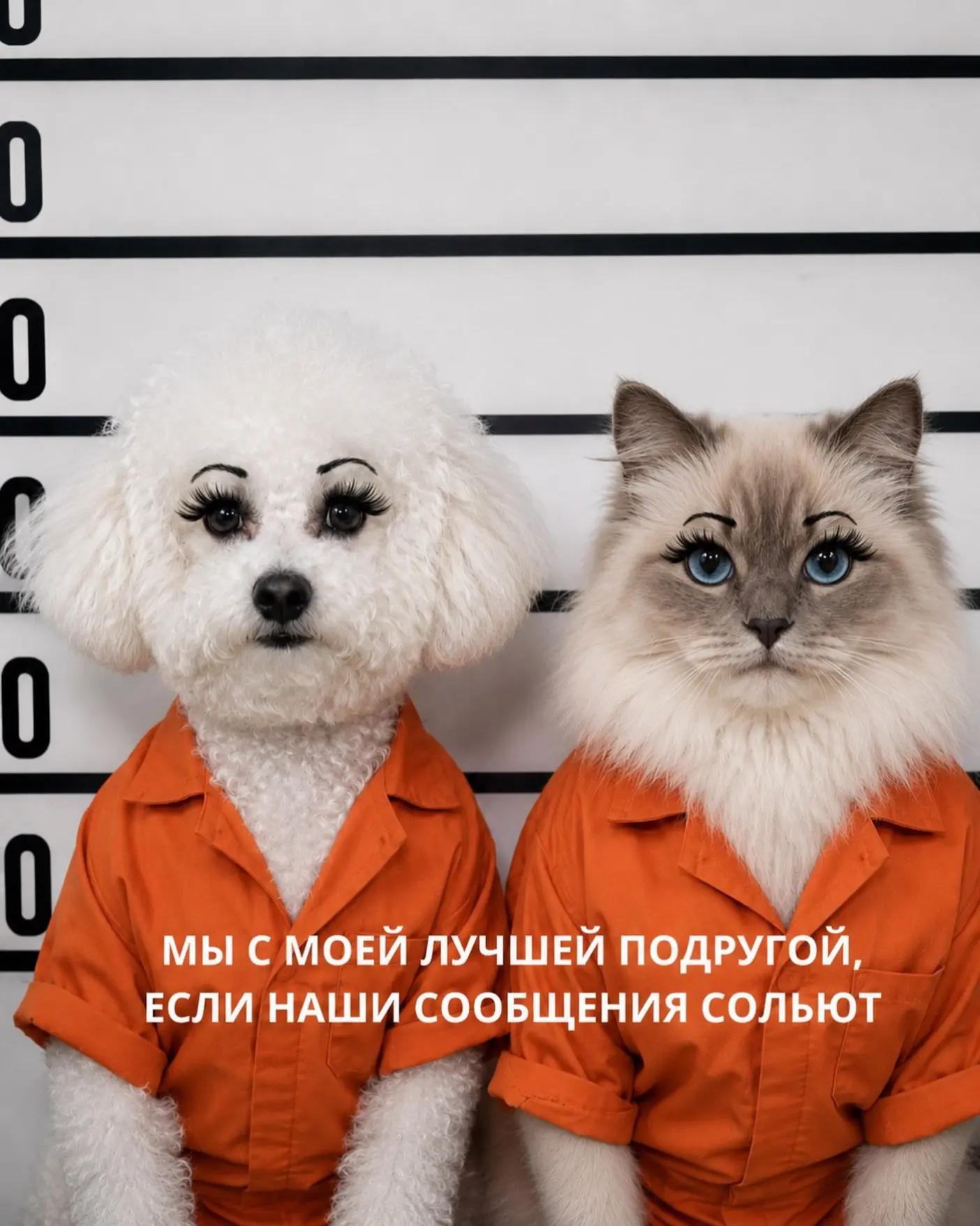 @🪷Альфия Ибрагимова🪷
