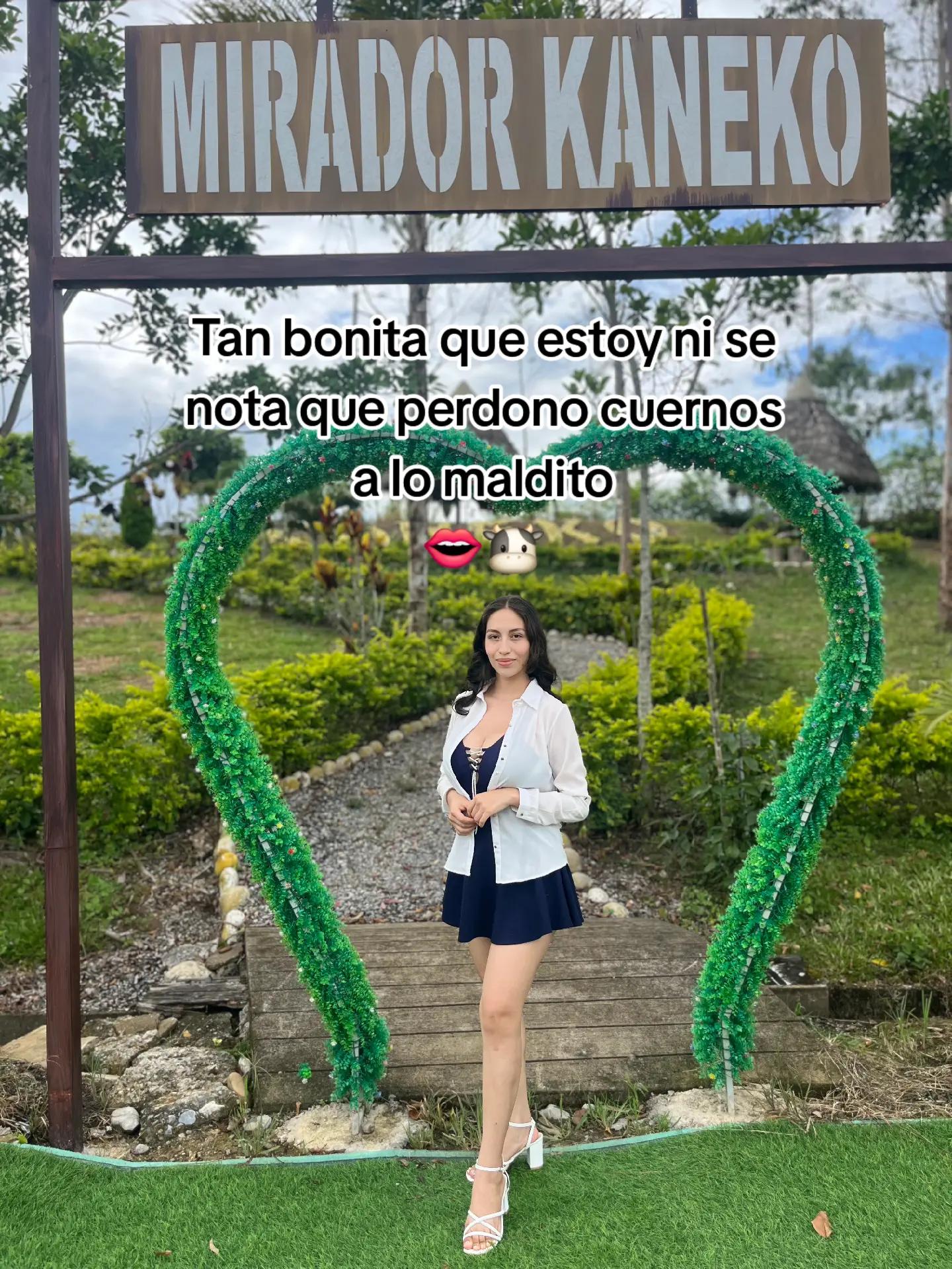 @mileny castillo