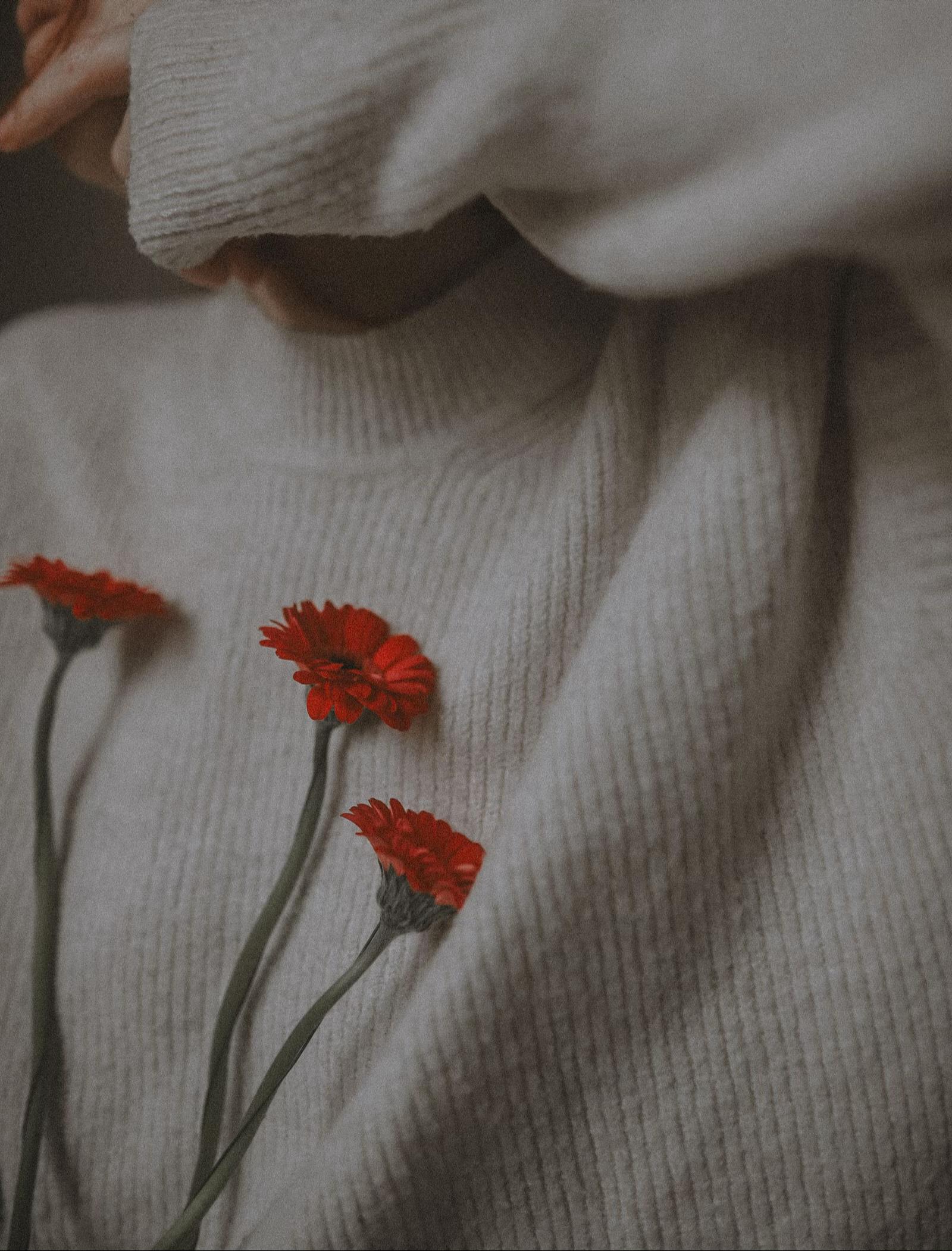 @ꜰᴀʙ📷