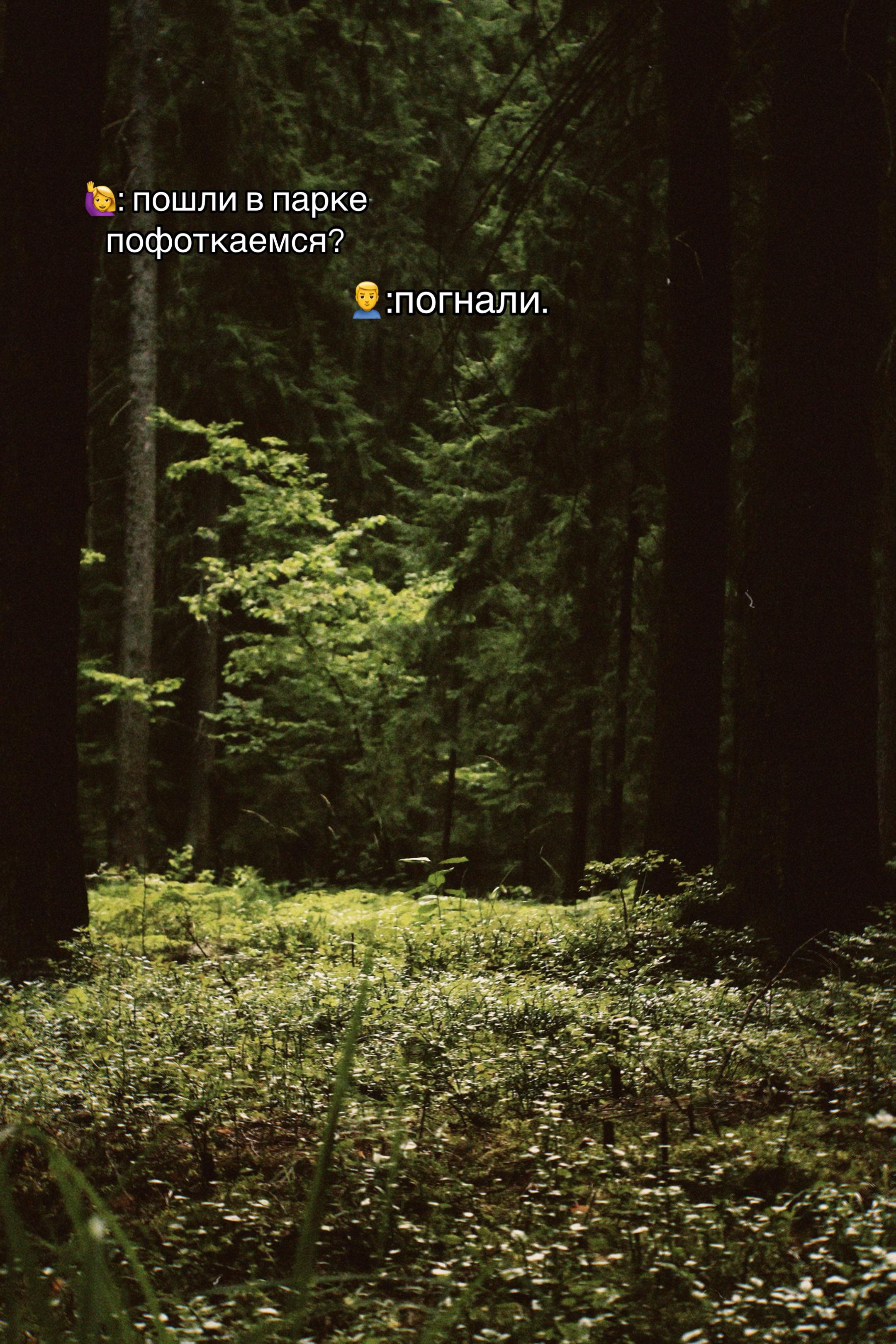 @Ярусик