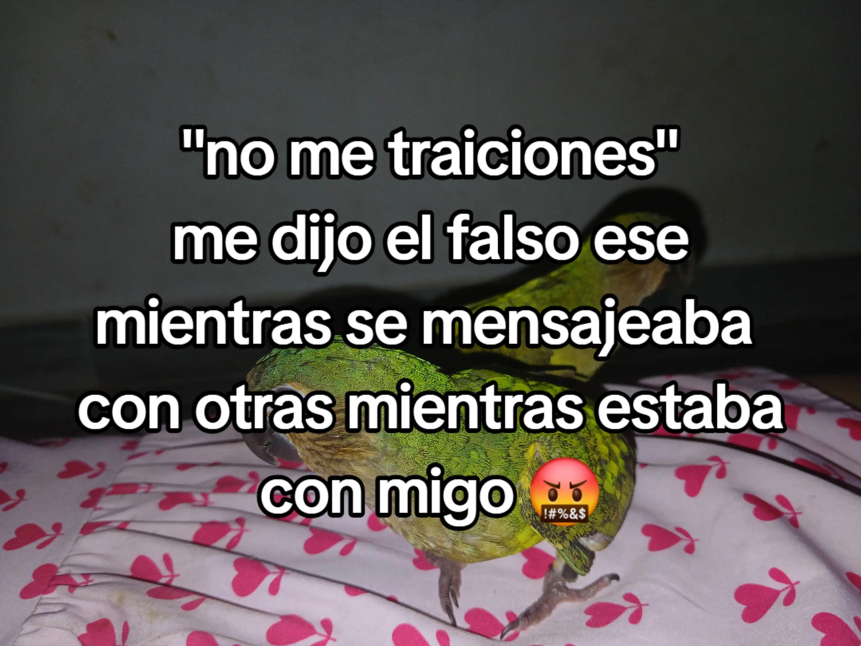 @Jessi velasquez❤