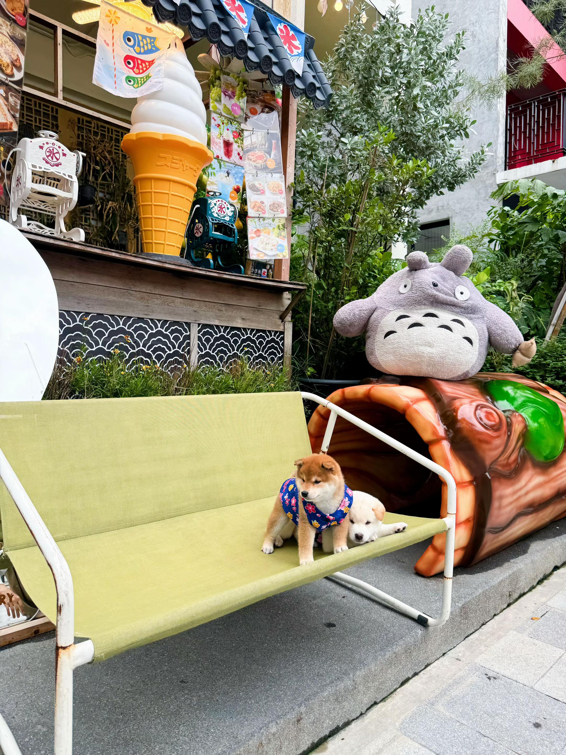 @Shibainu Story