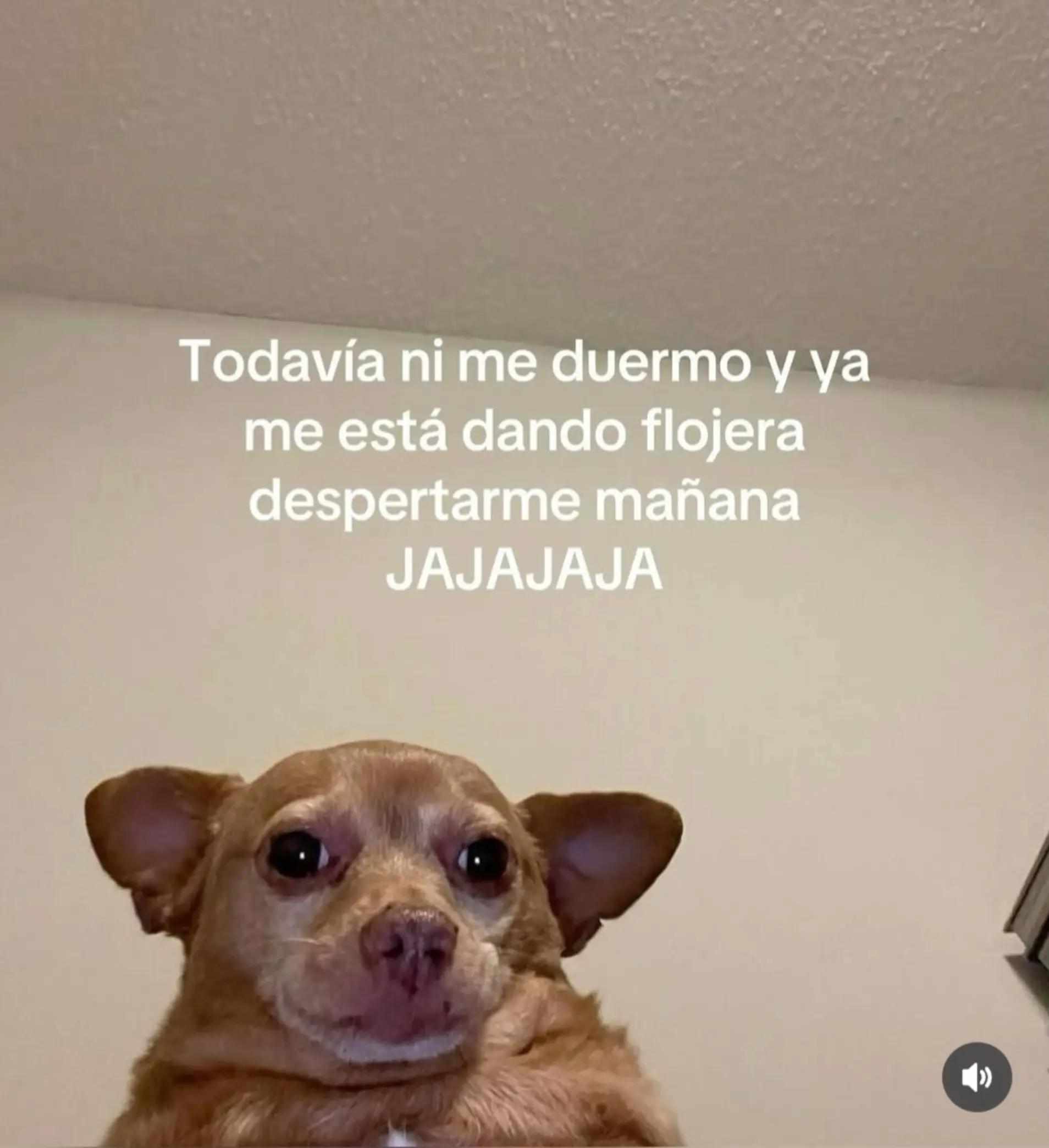 @ANA💙👑