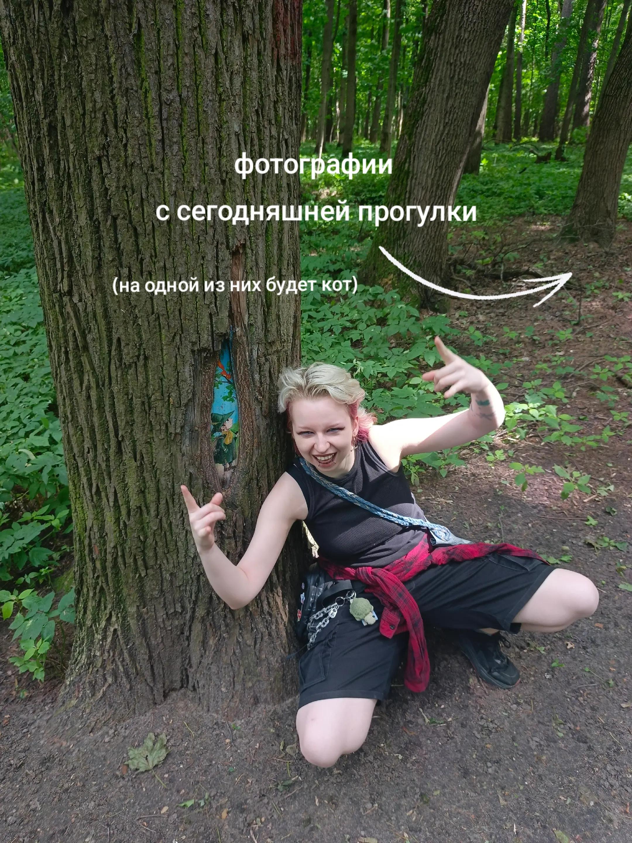 @Роса Мастак