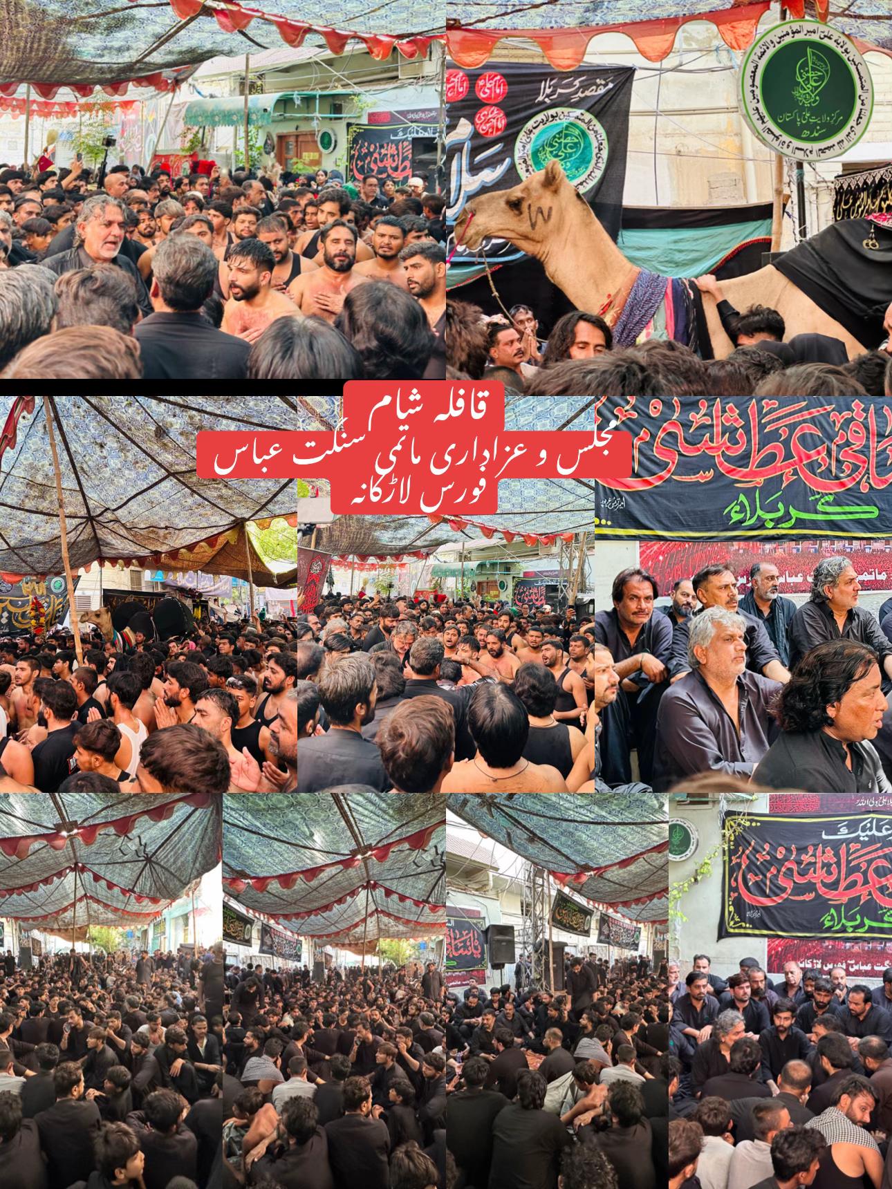 @Najaf Ali Memon 👑