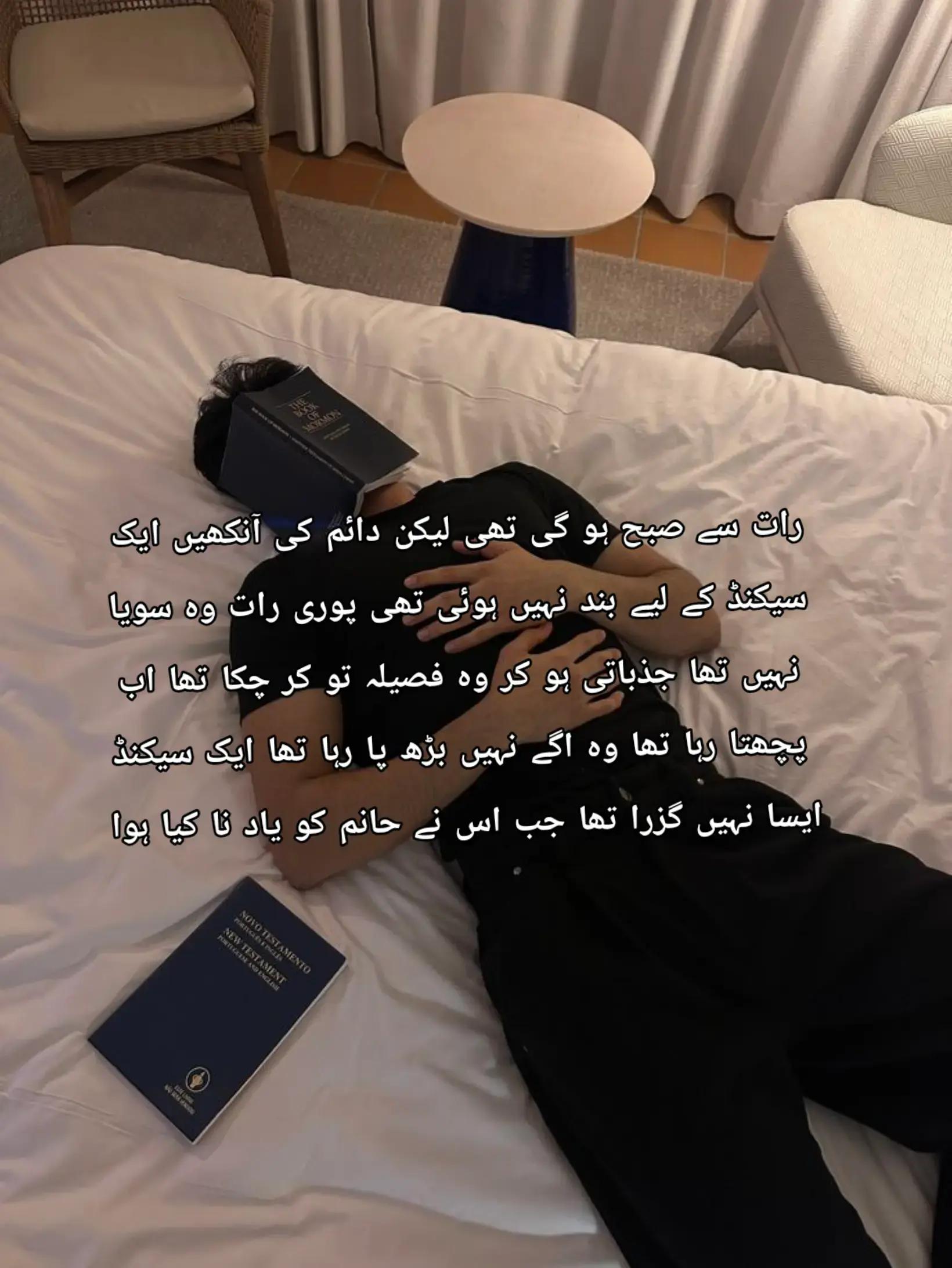 @《~•novel writer •~》