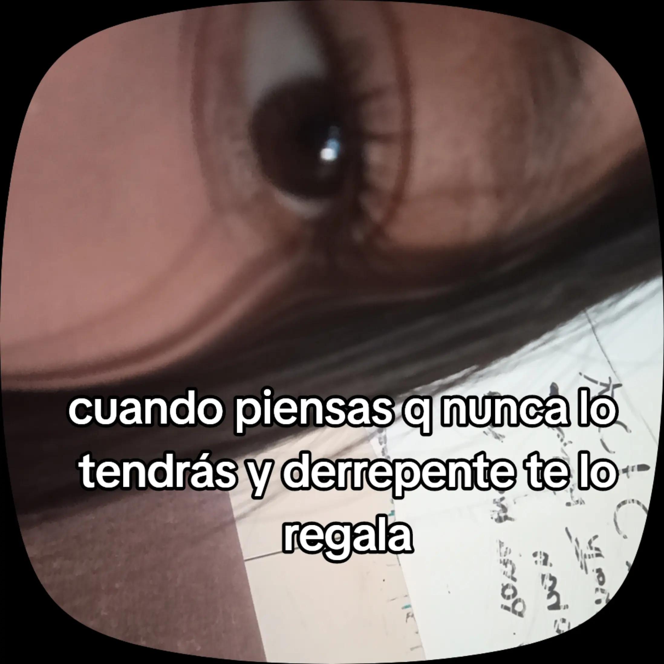 @⋆ ˚。⋆୨୧ 𝒜𝓁ℯ𝓍𝒾𝒶 ୨୧⋆ ˚。⋆