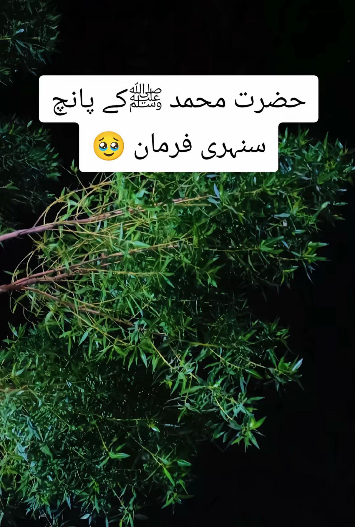 @UK khan 💕