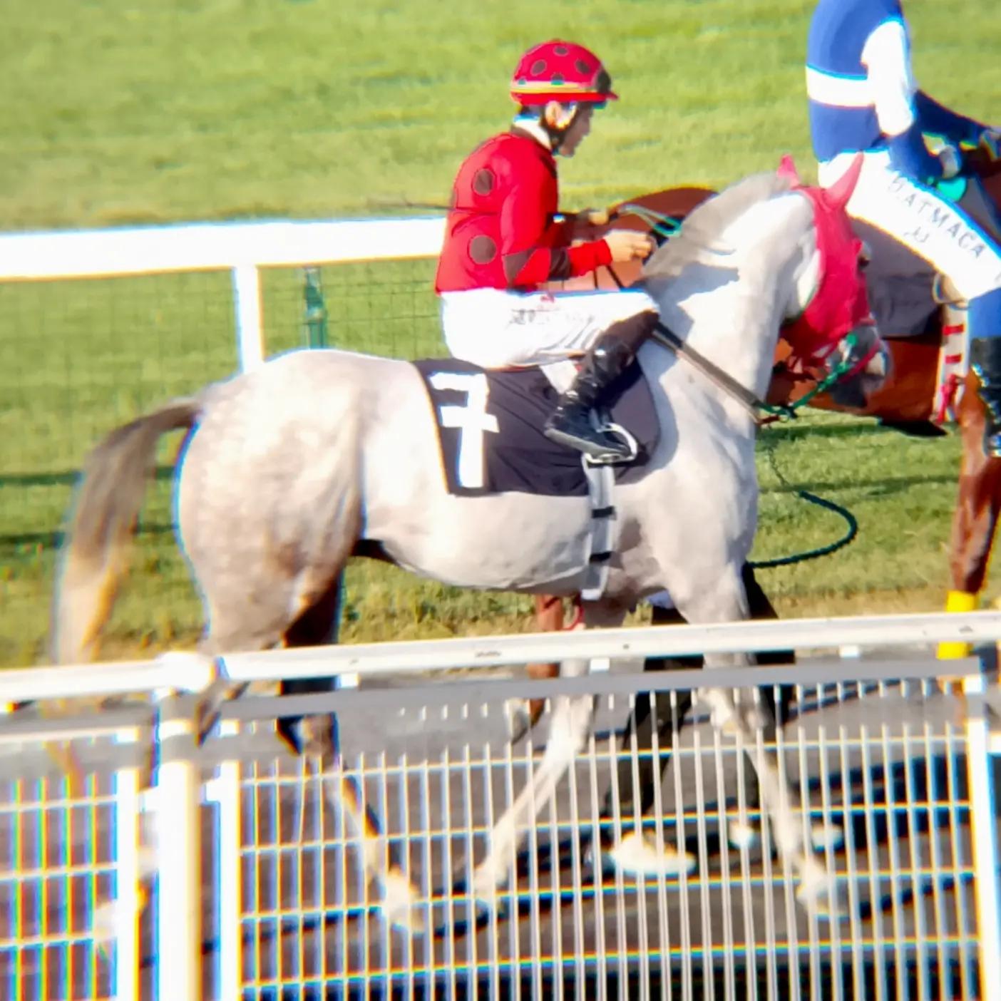 @brs horse racing