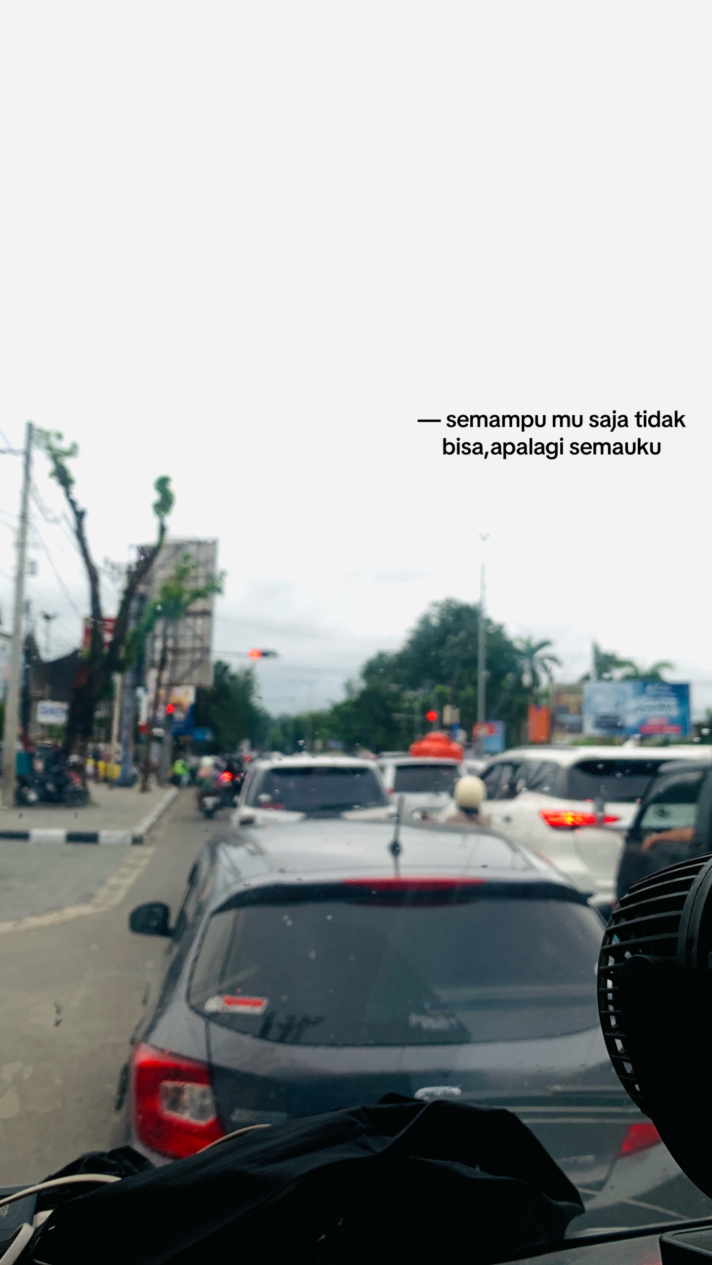 @yinn