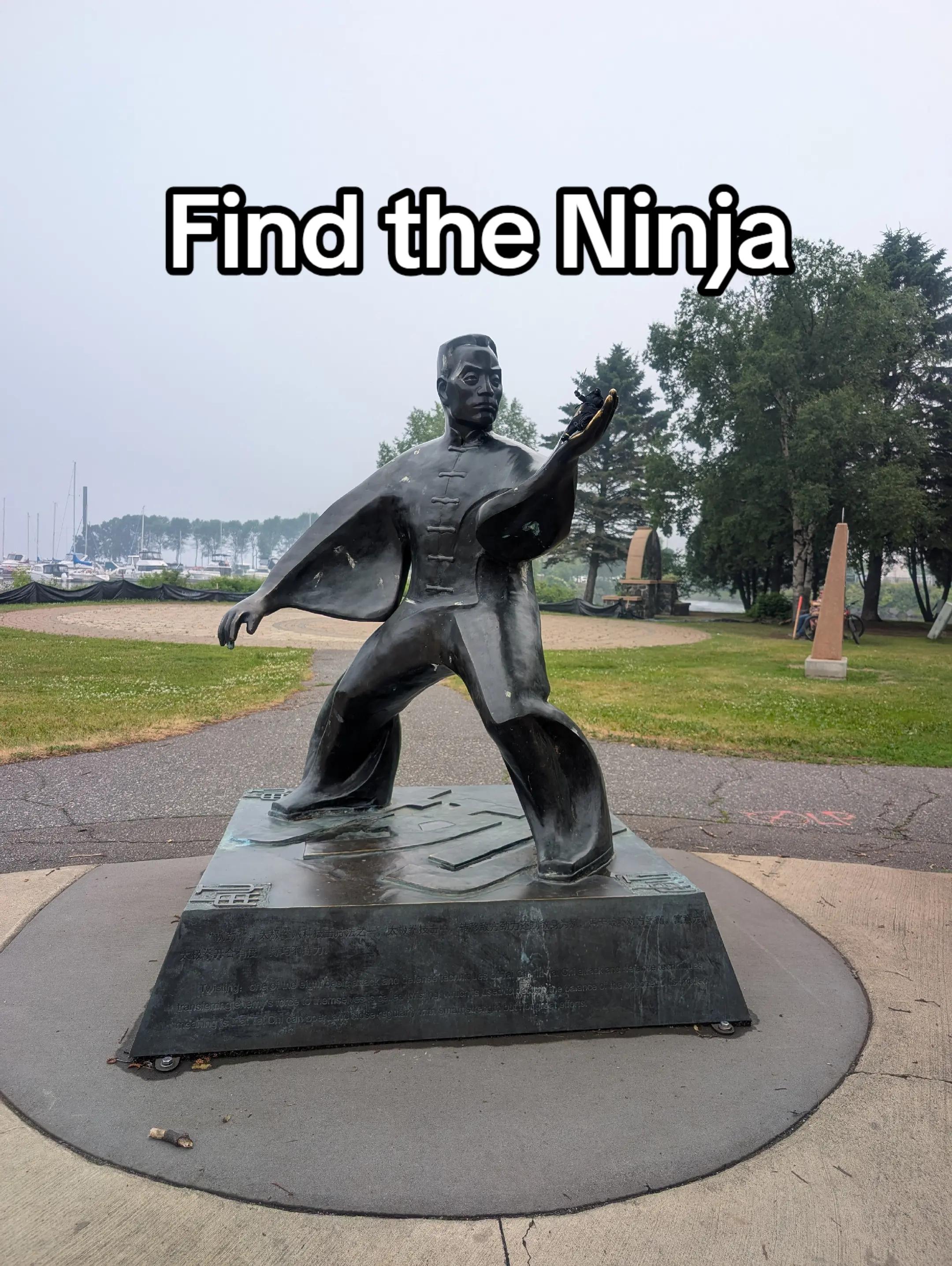 @SpotTheSneakyNinja