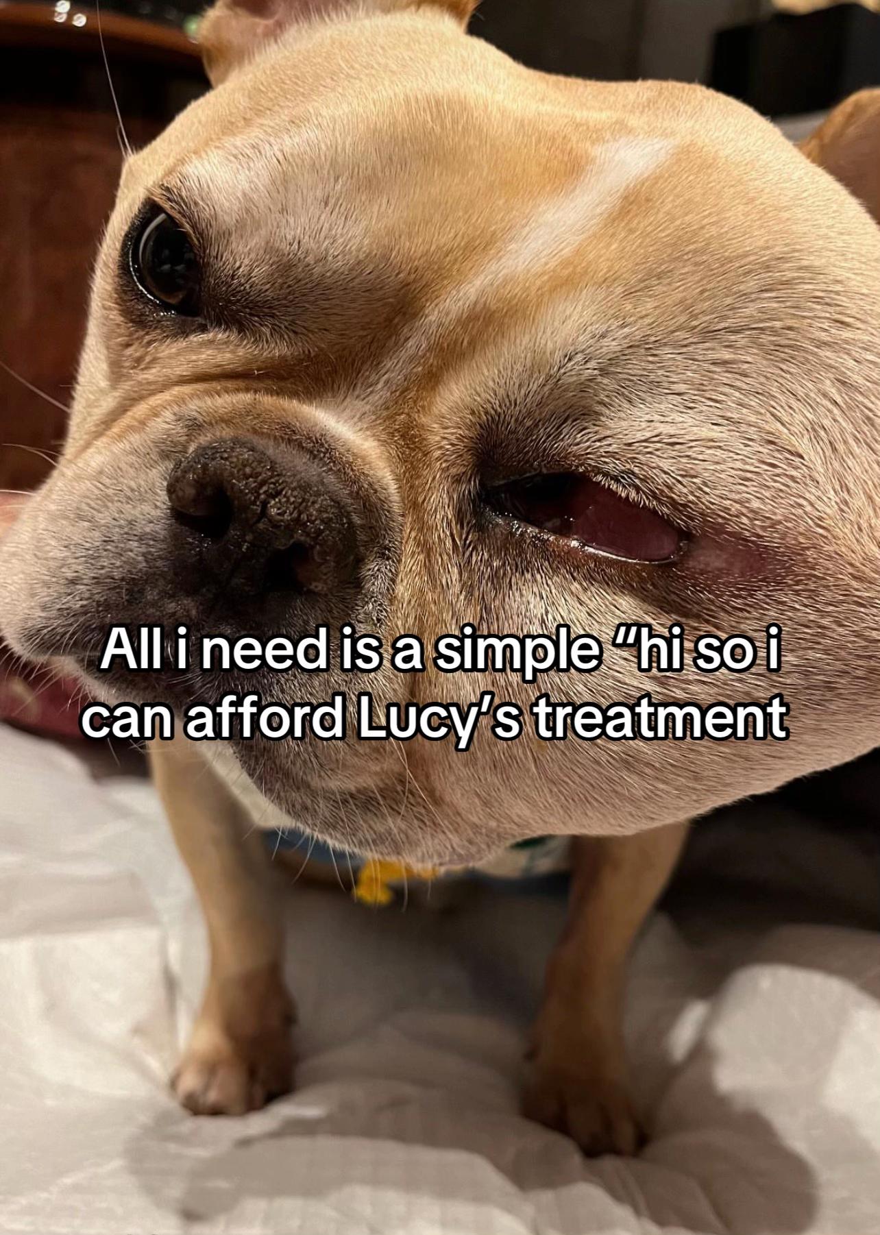 @Surgery for Lucy0