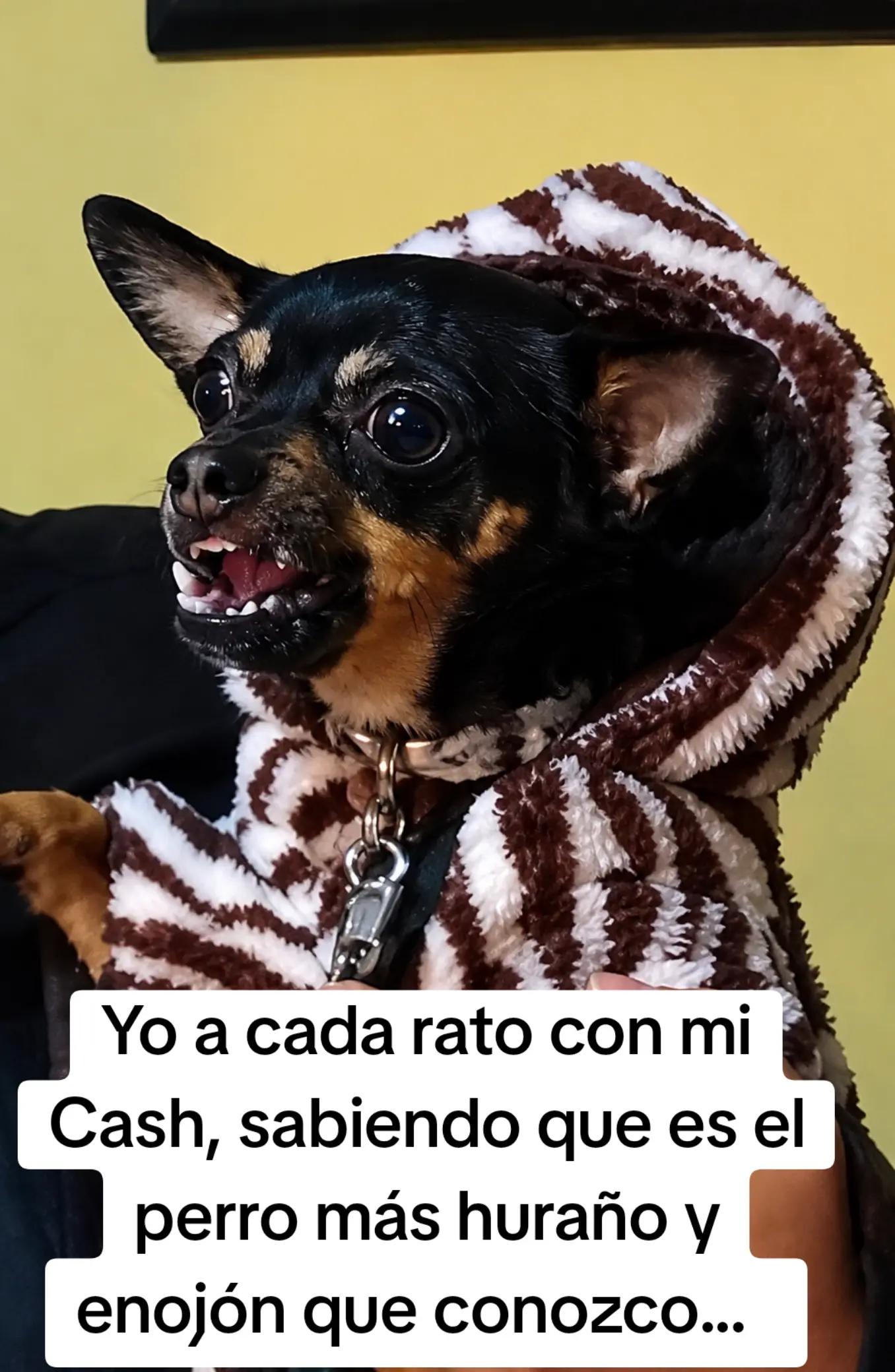 @Susanita