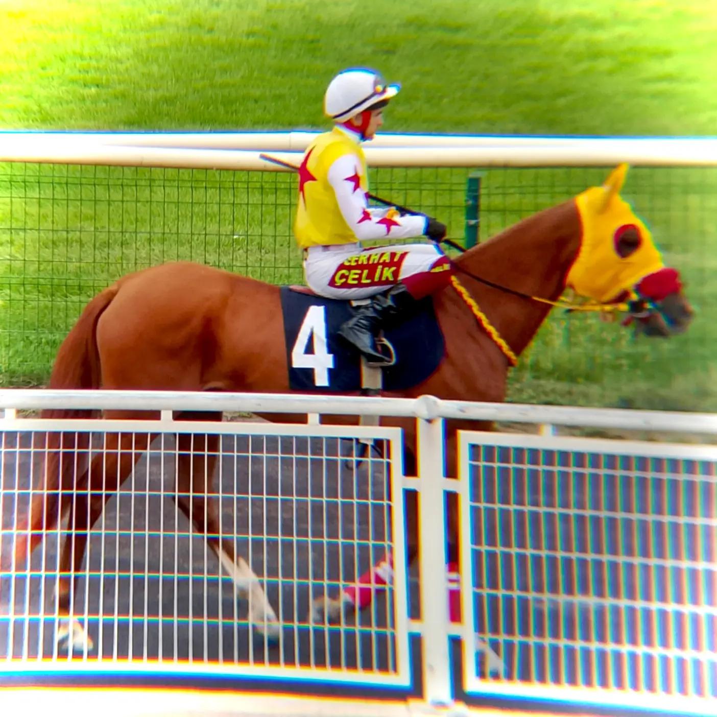 @brs horse racing
