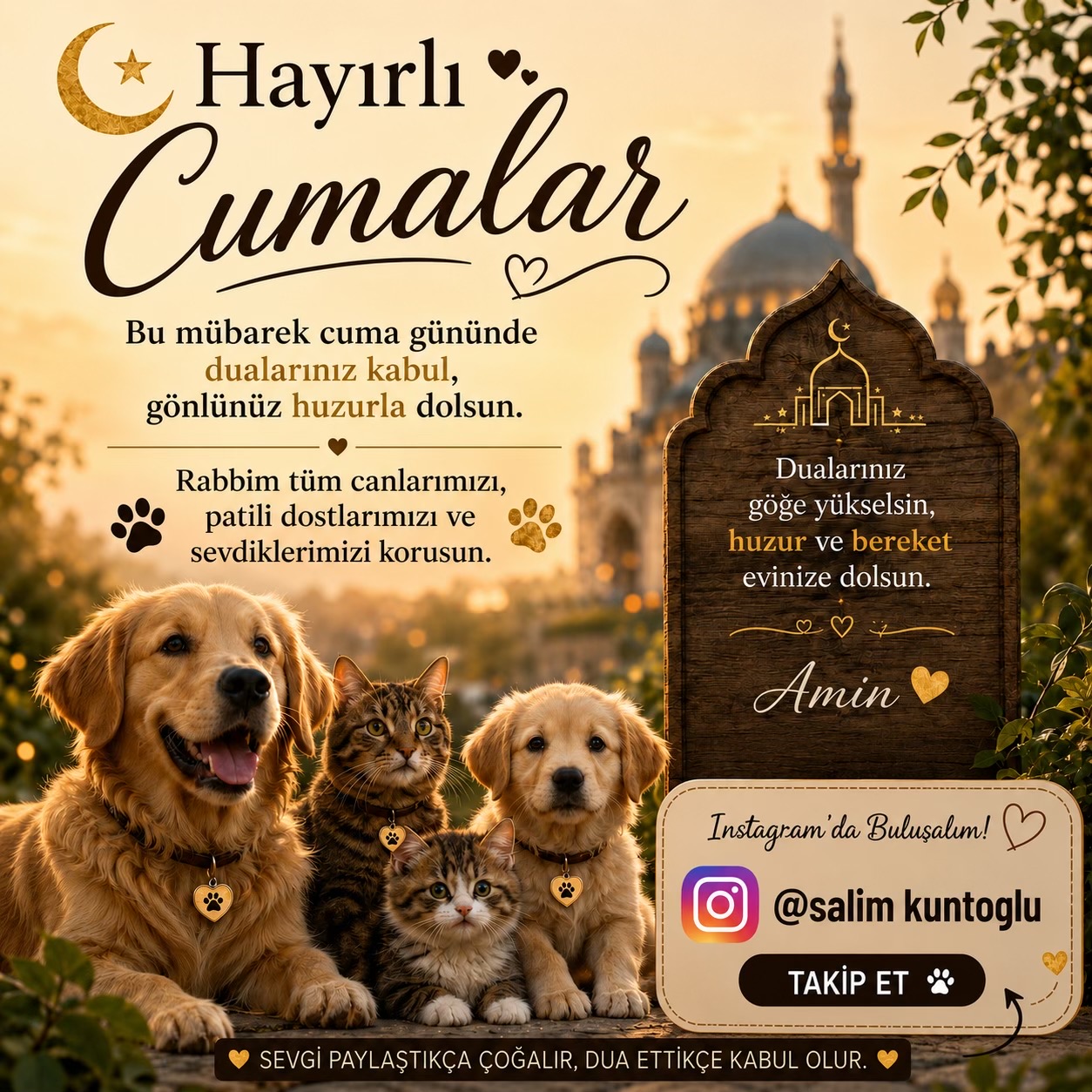 @Salim Kuntoğlu