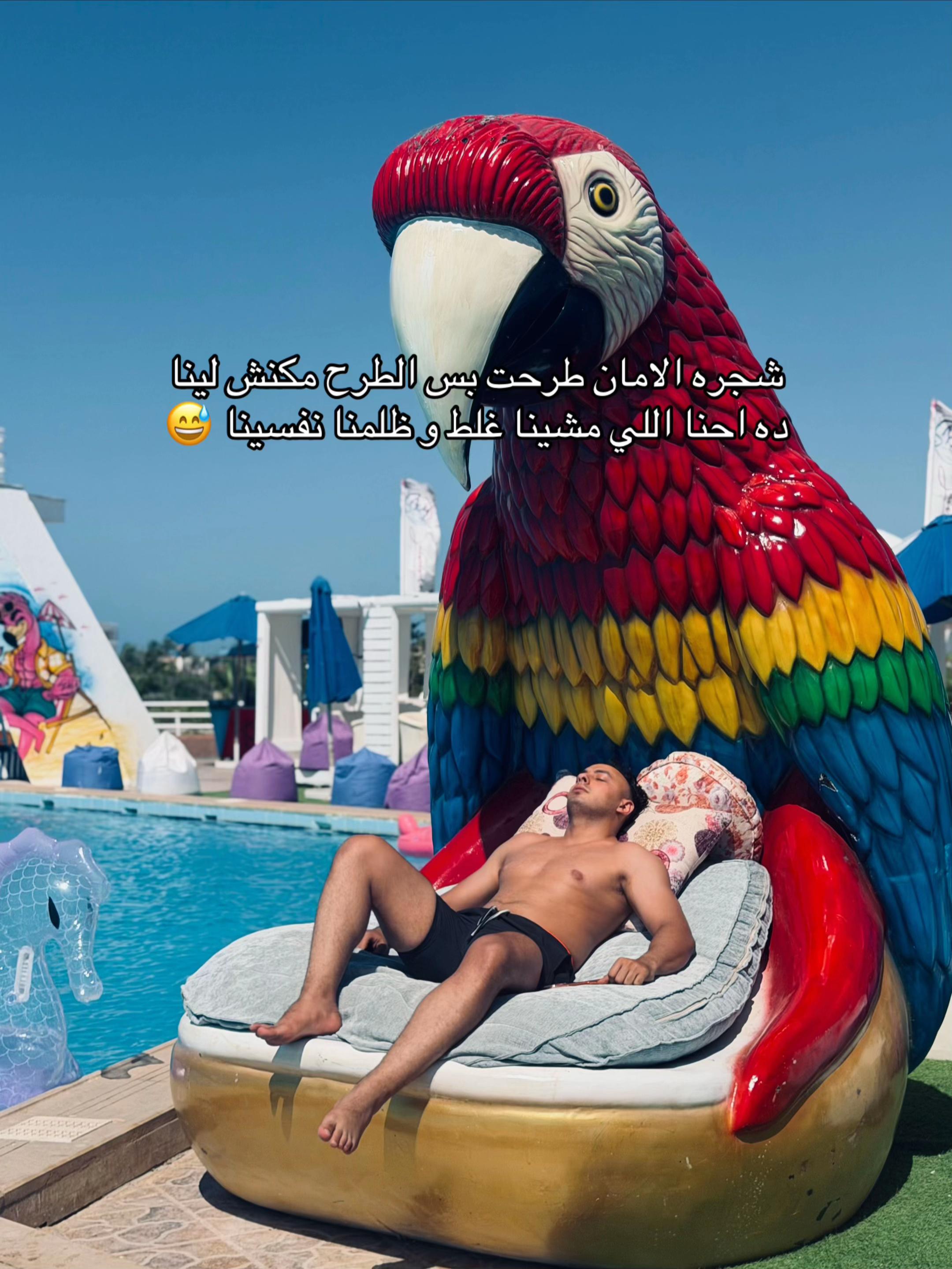 @AbddoSalamaa🦁