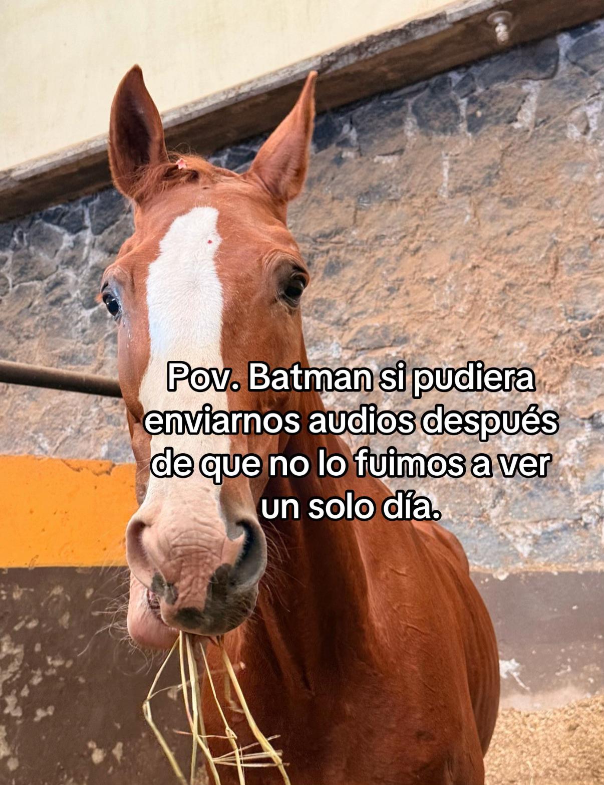@Xanath