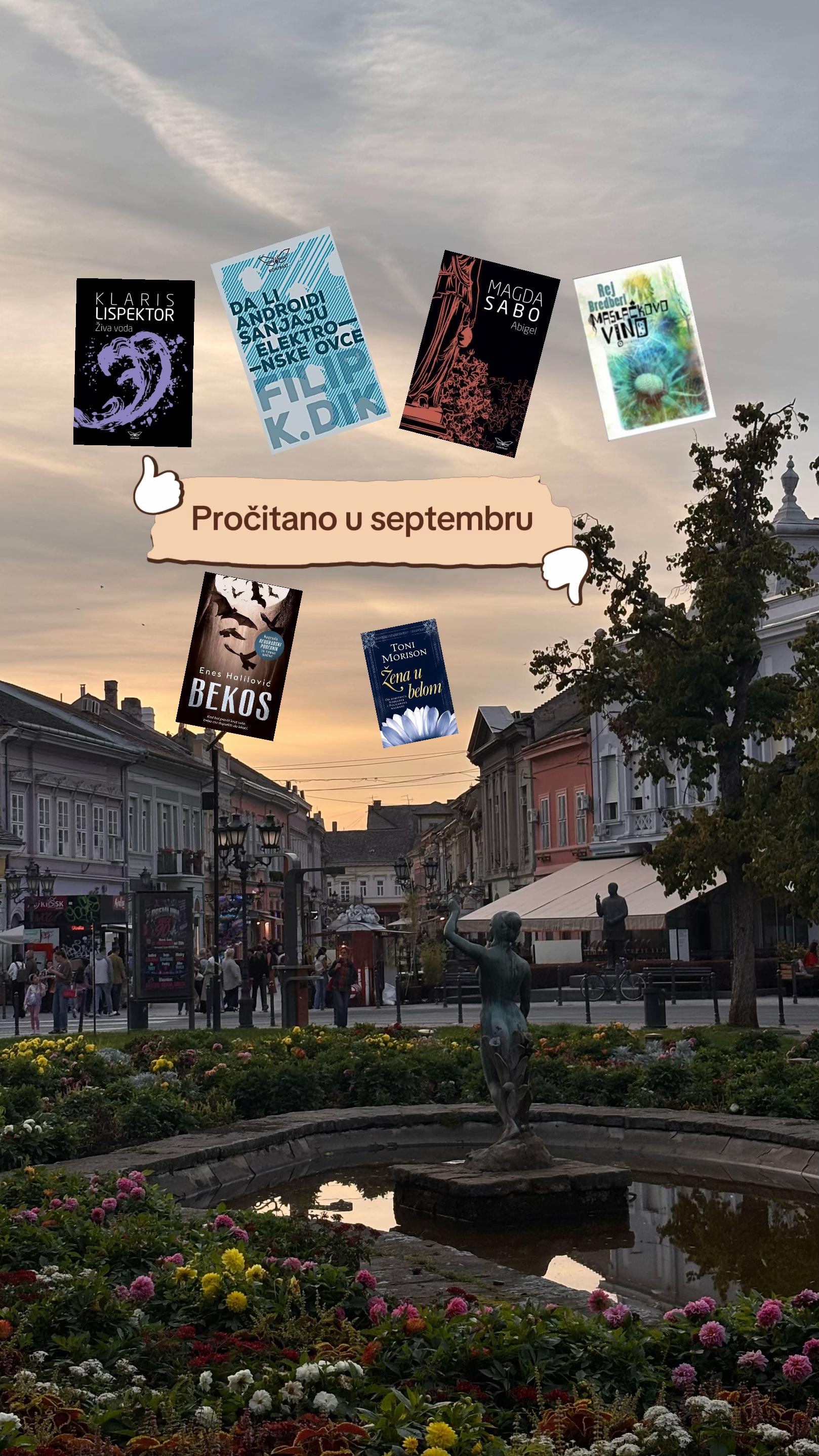 @Nattlit 📚✈️🧚🏼♀️