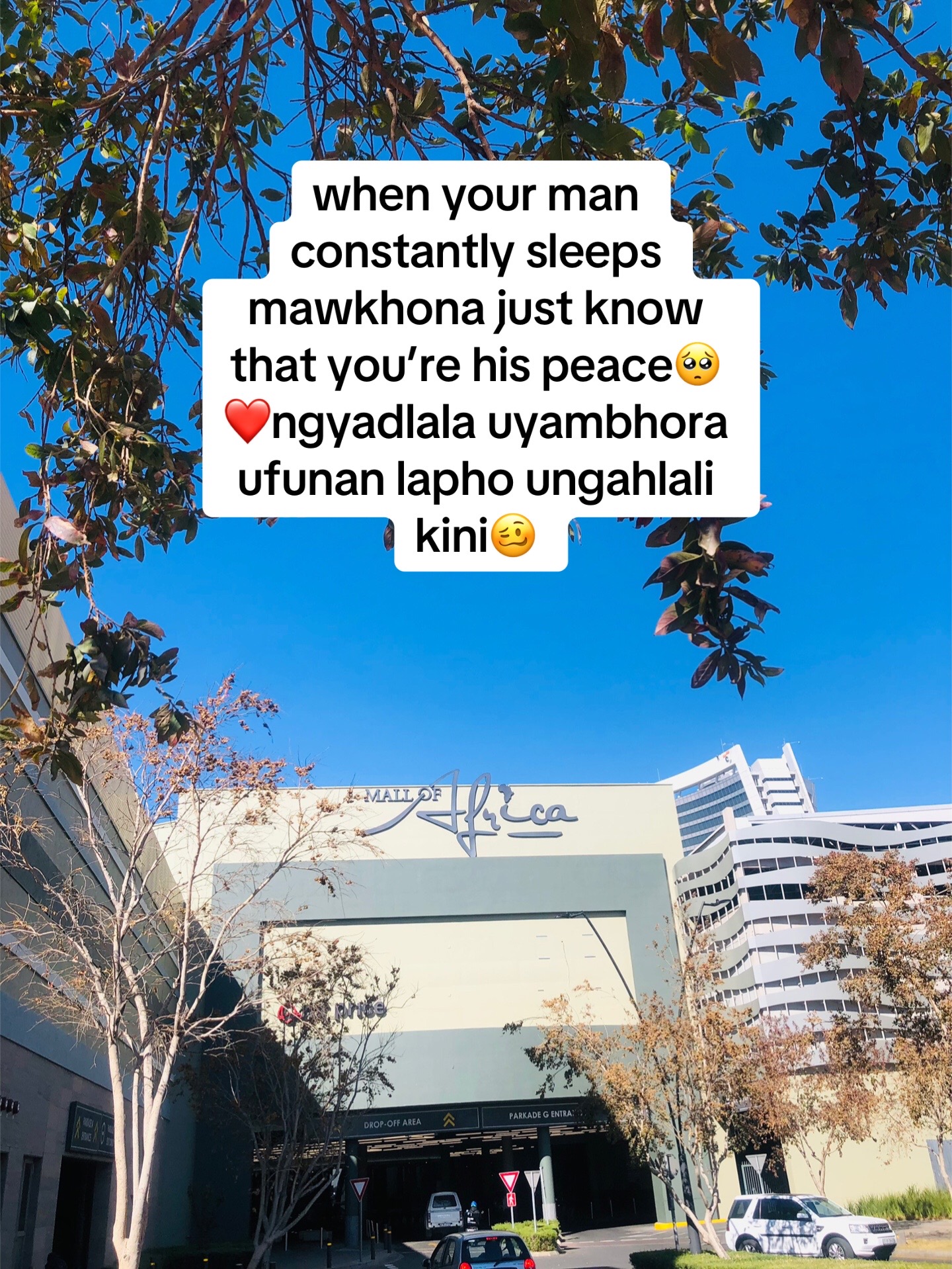@mammi_browns