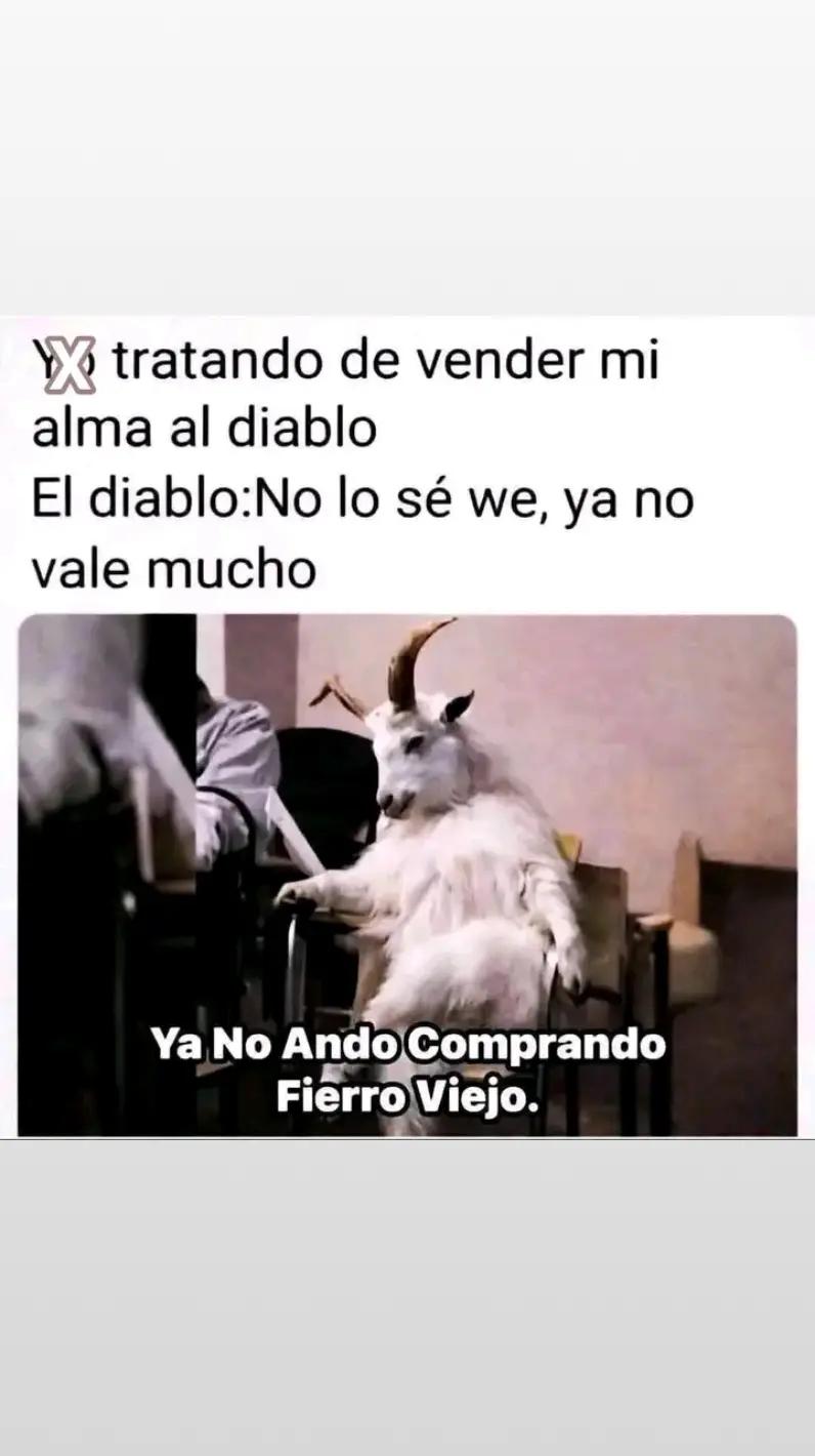 @☠️👹Guz Belico🐰🥷🏻