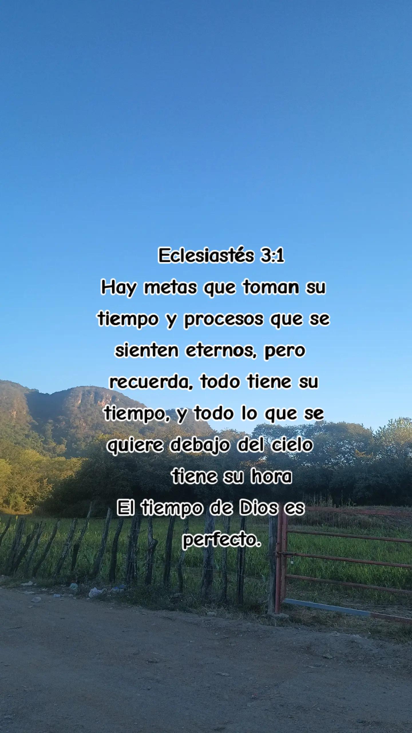 @karencorralees2