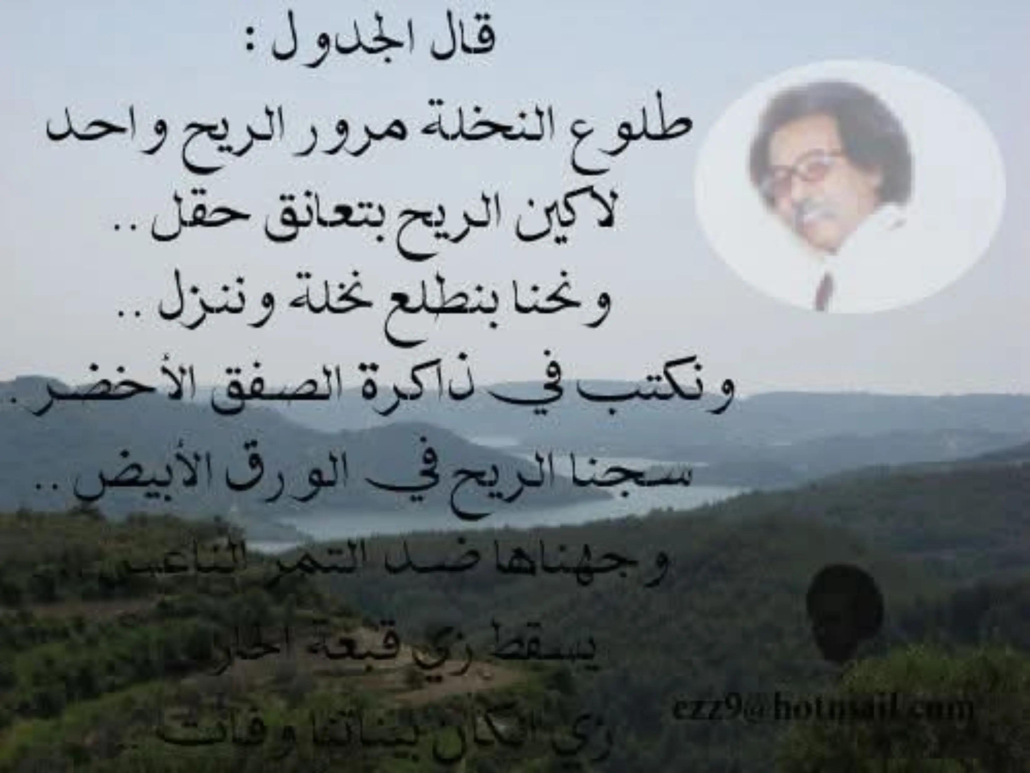 @الممشى العريض🪕🎺🎻