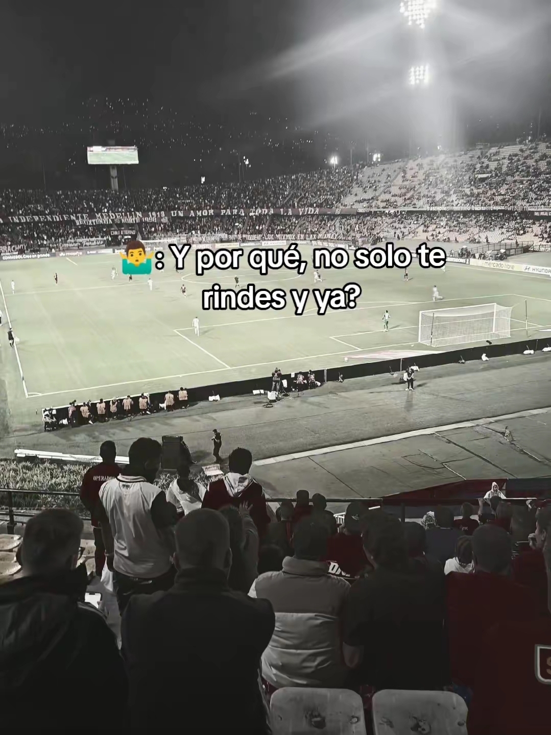 @ronaldomul