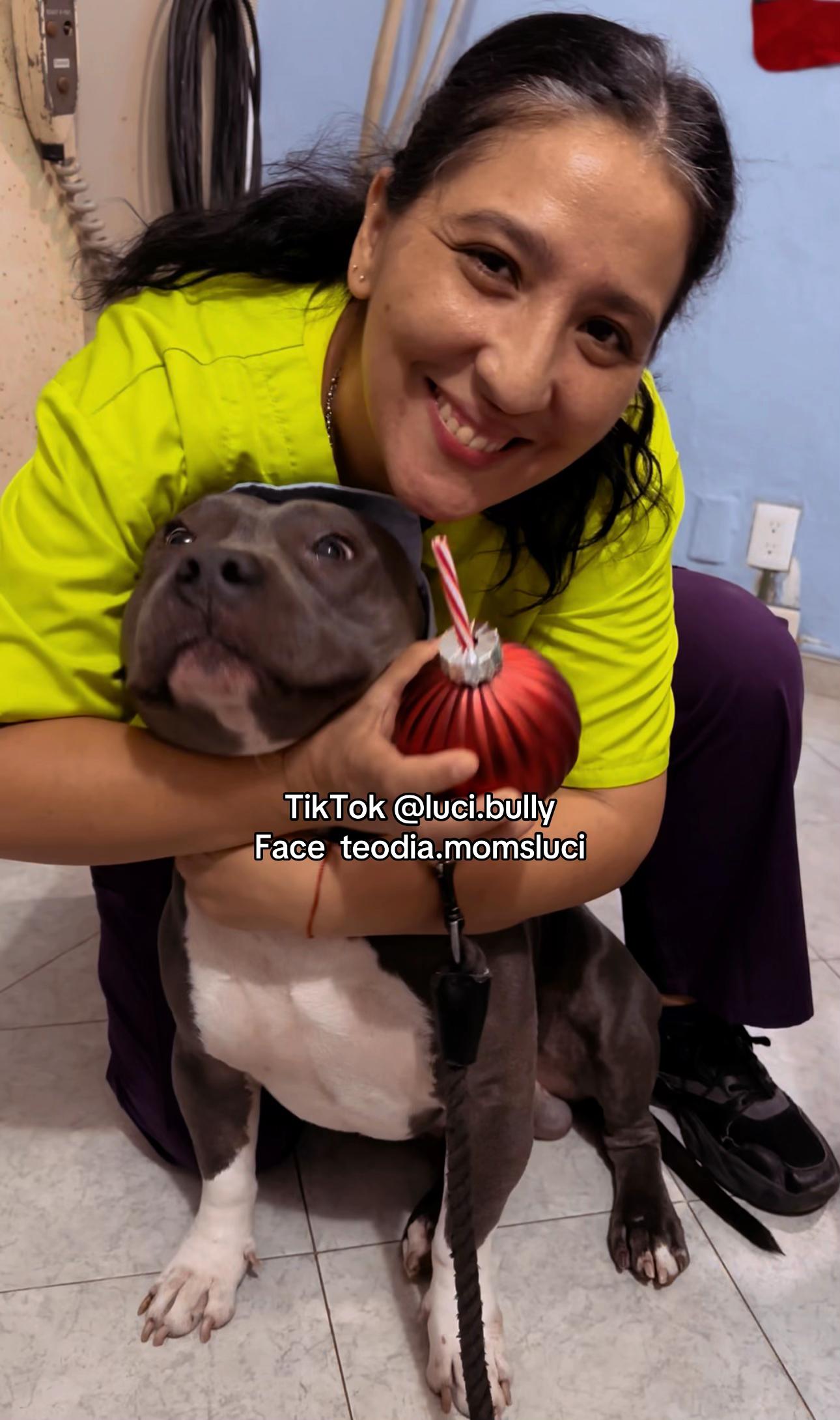 @luci.bully