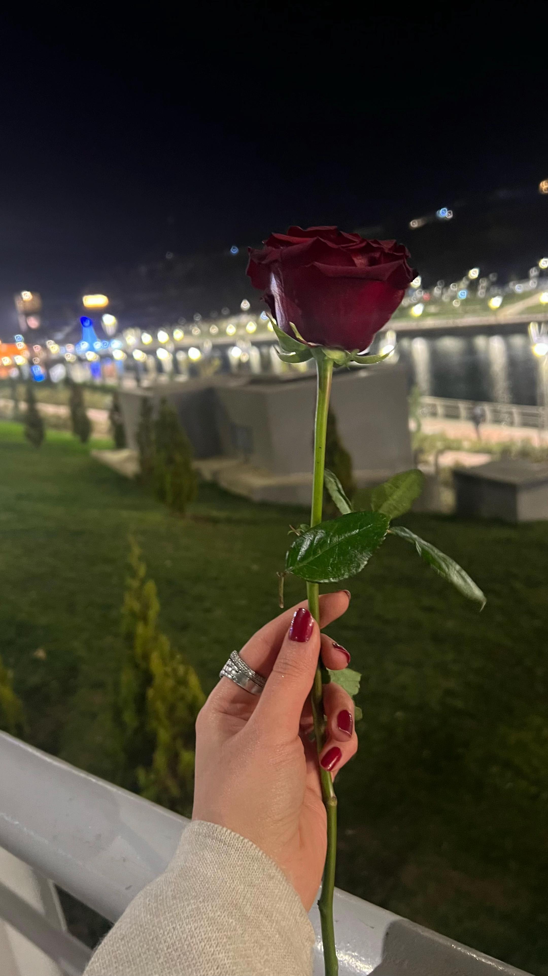 @حـلاا🐆🩶