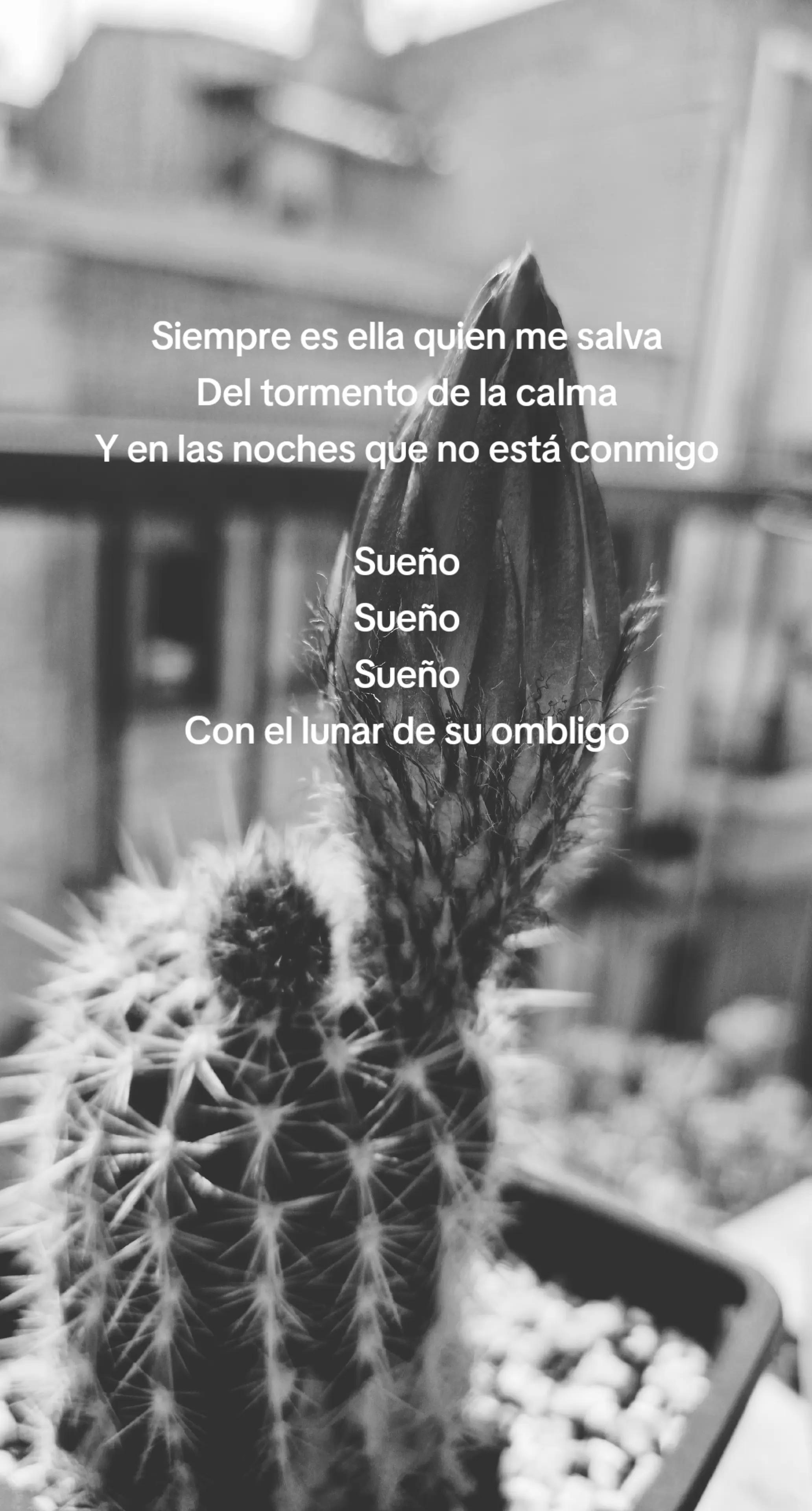 @Vero 🫀✨️
