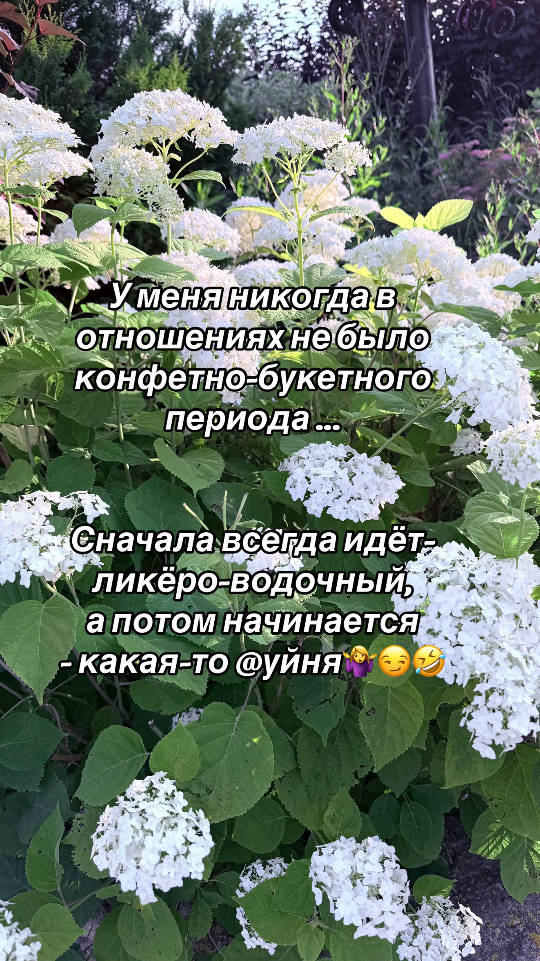 @Маша