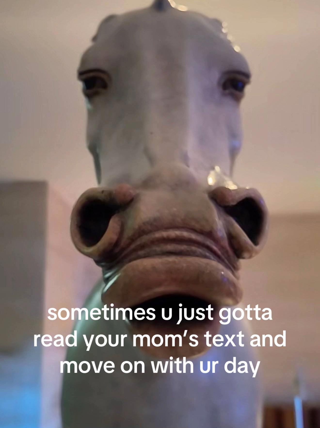@yj🫧
